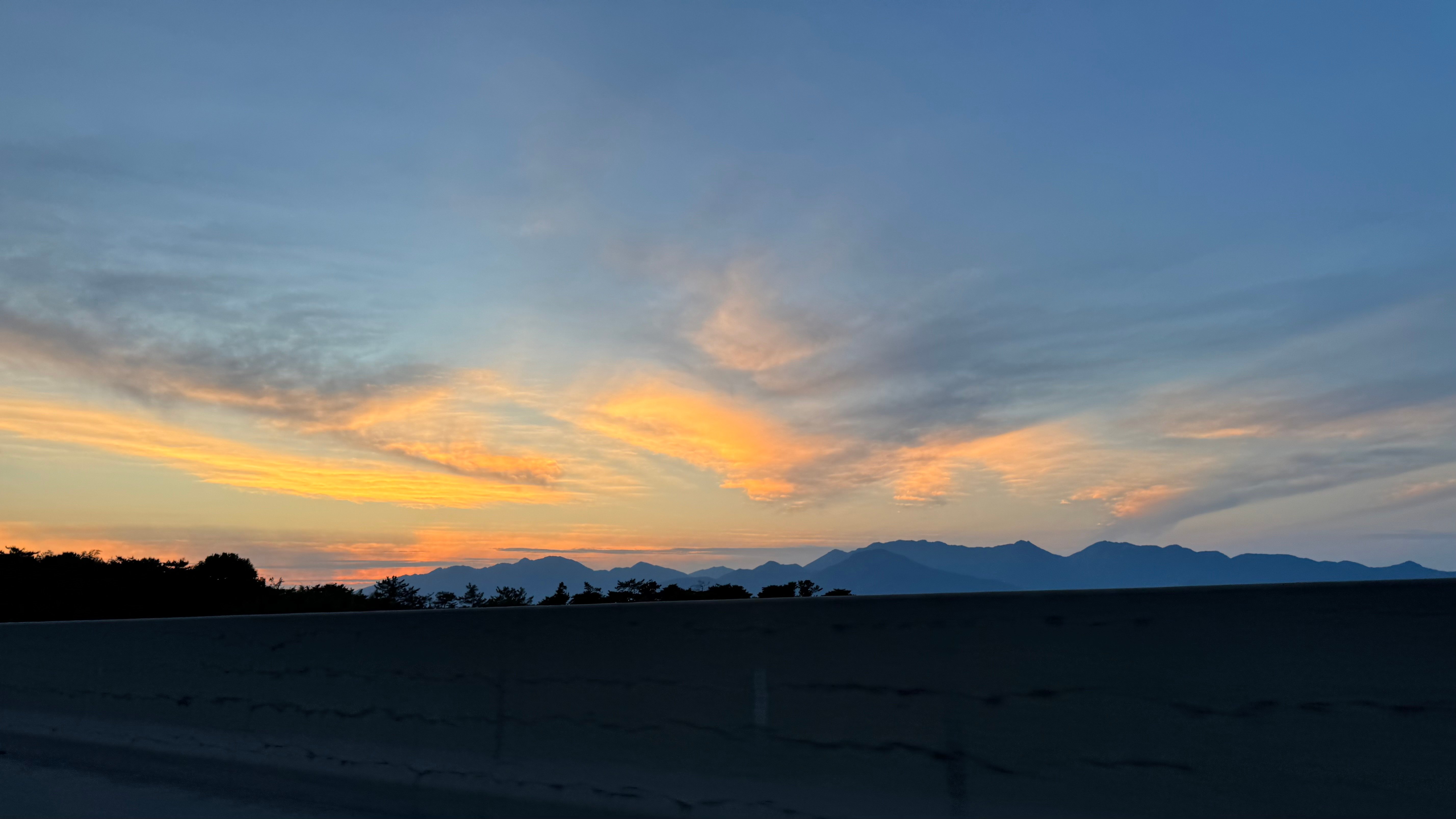 IMG_3582.jpeg