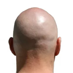 cac6669f6c3e87d34f137826d875909a.webp