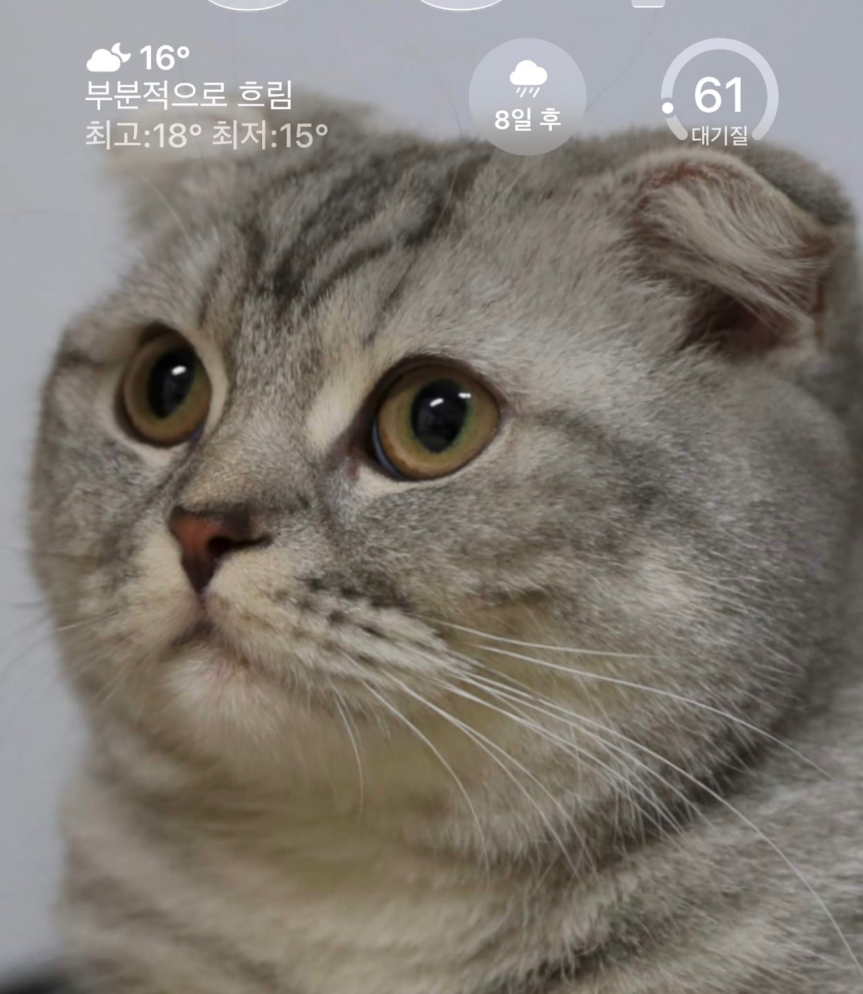 KakaoTalk_20260518_160248989.jpg