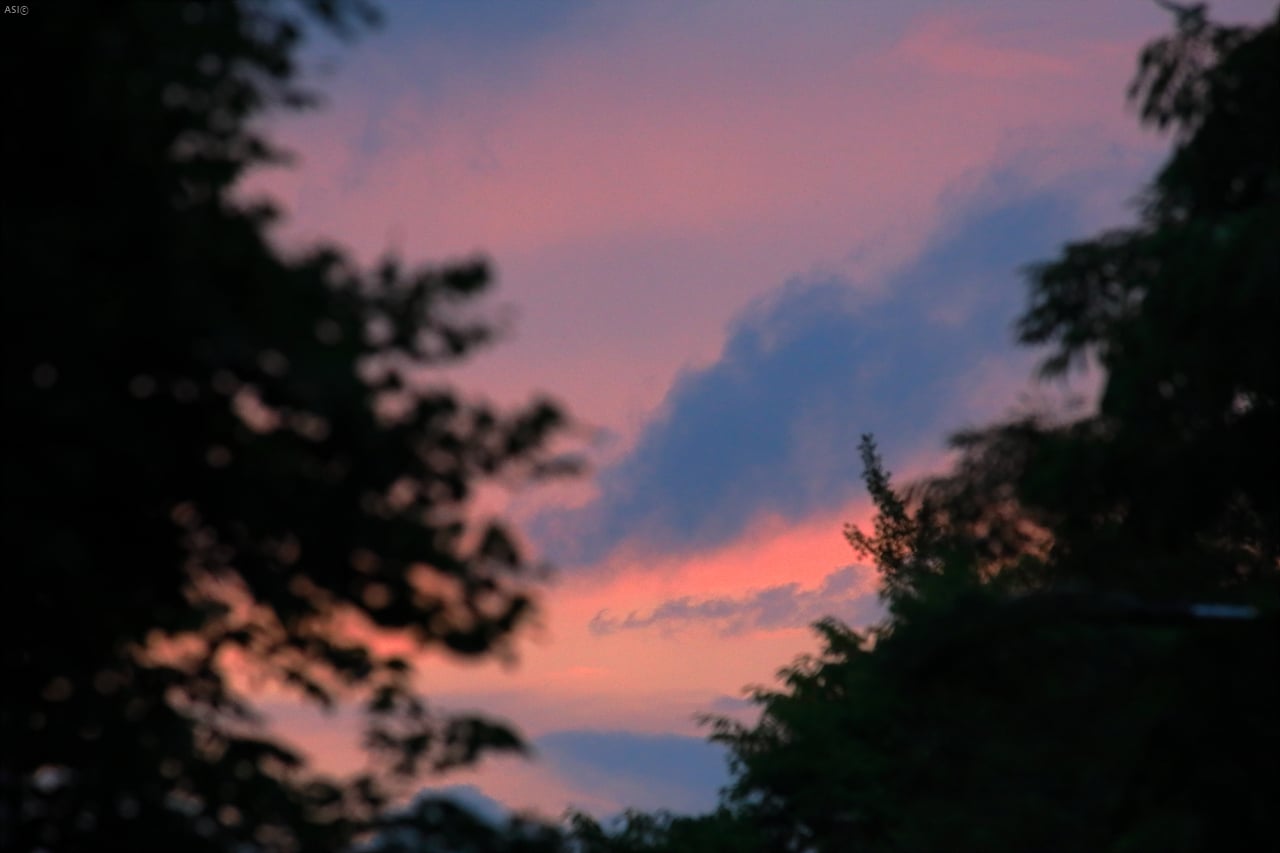 107L9357.jpg