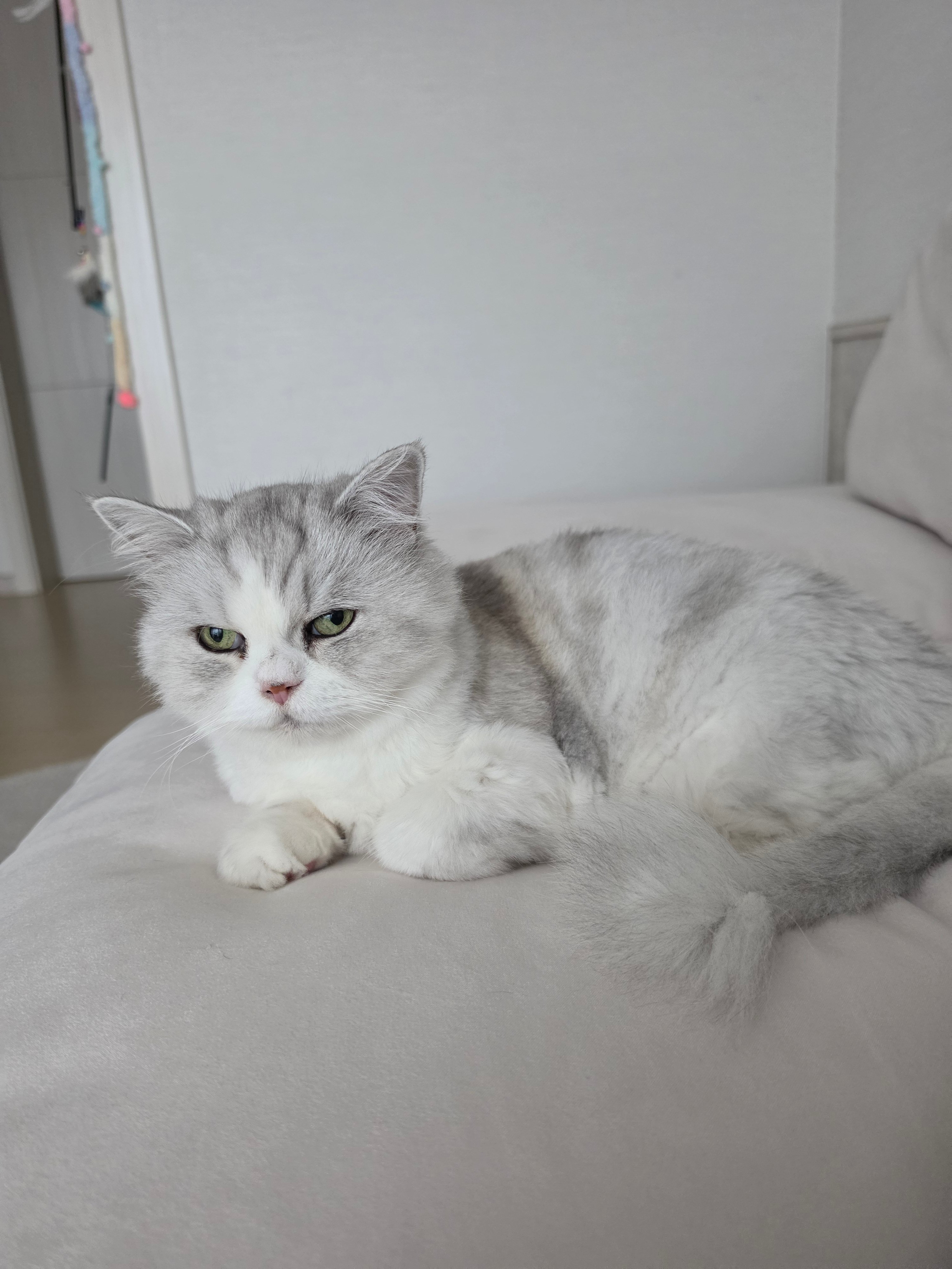 첨부 이미지