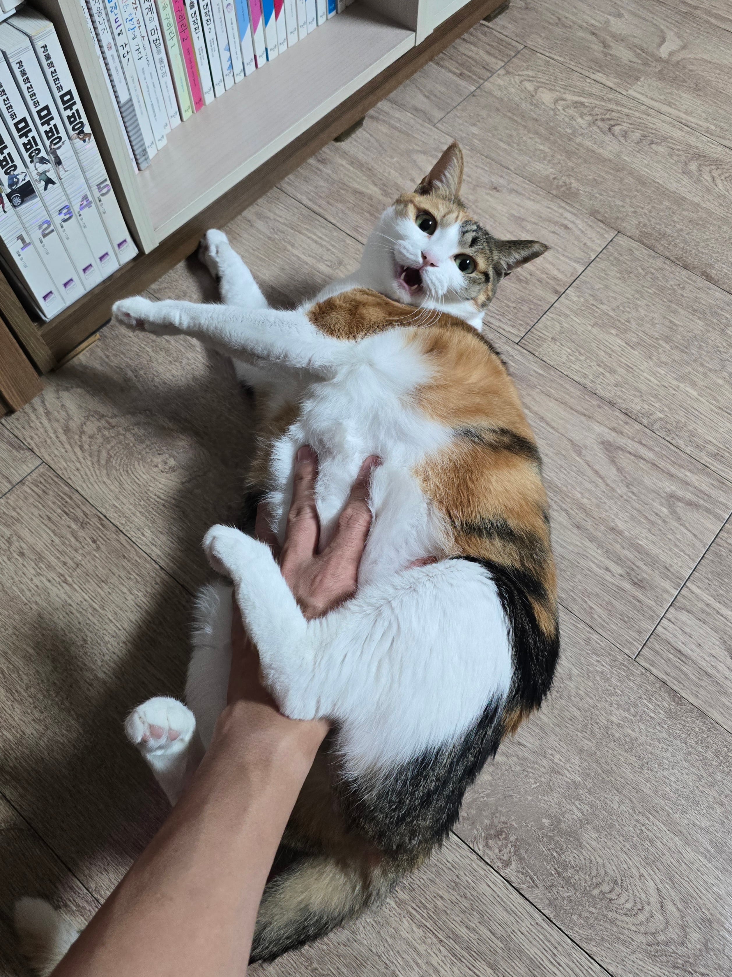 첨부 이미지