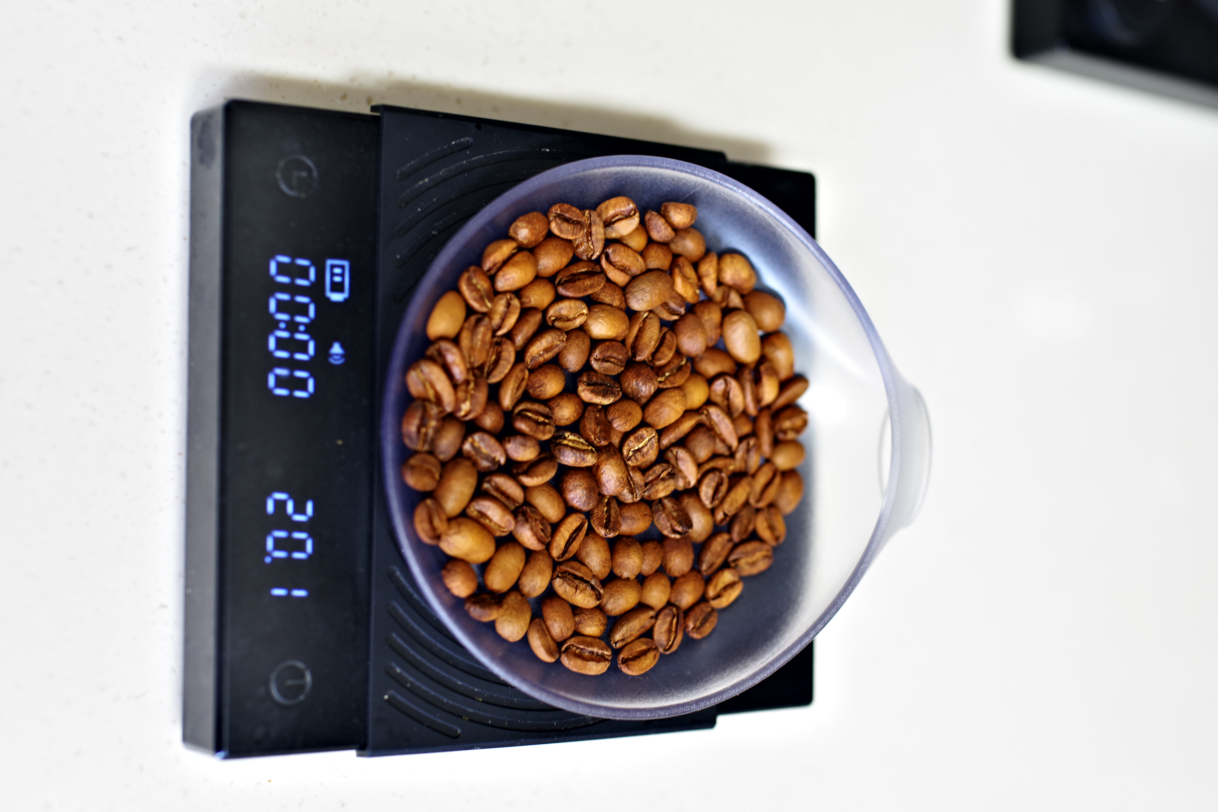 K1__0344.JPG