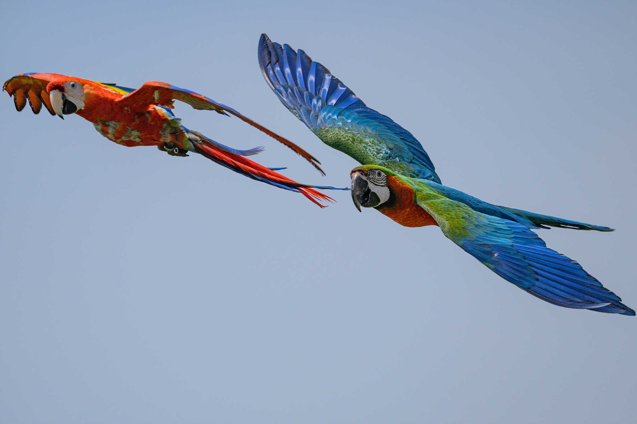 DSC_0113.jpg