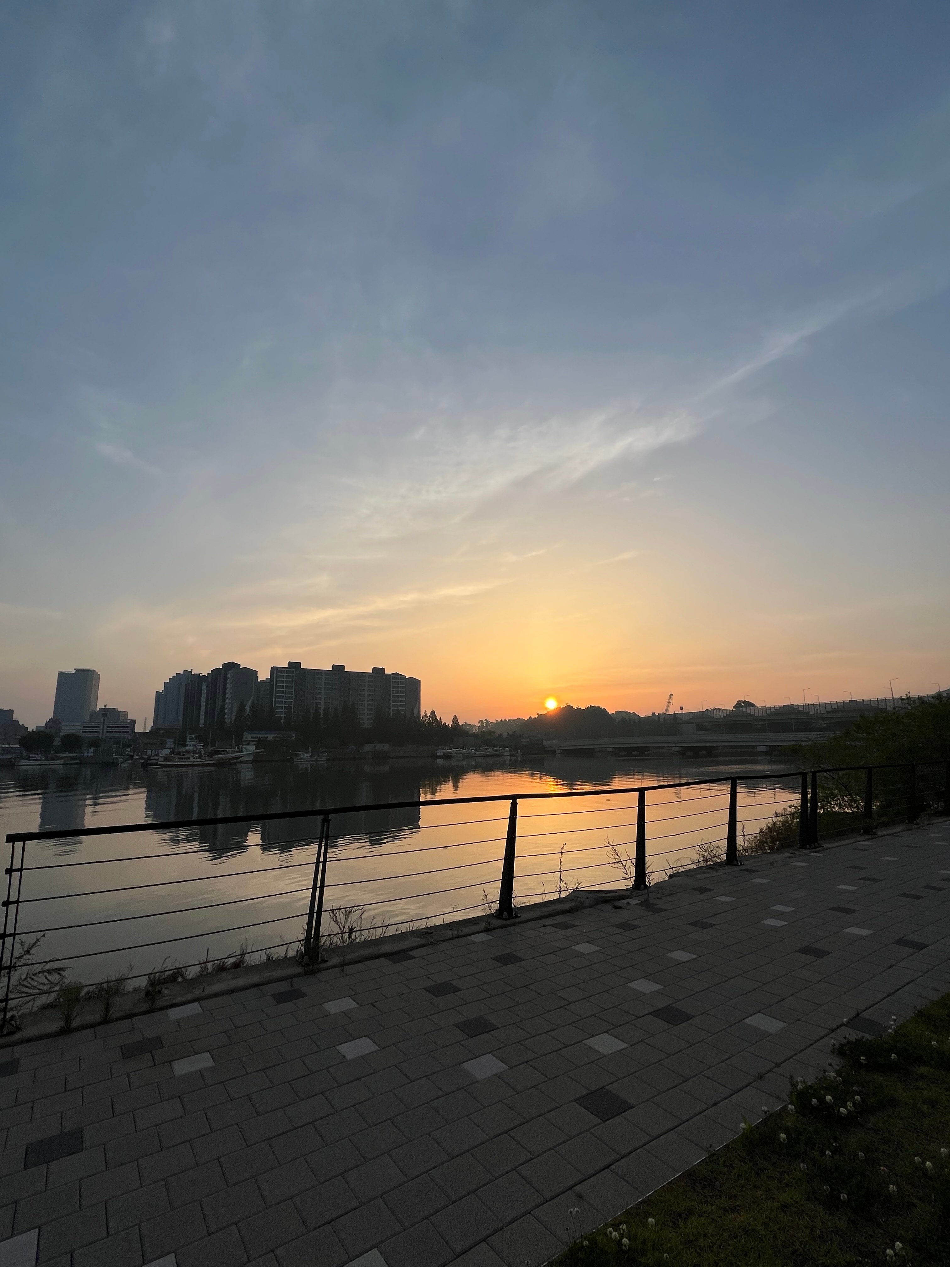 IMG_2461.jpeg