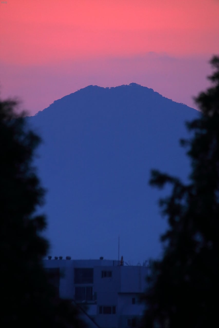 107L9467.jpg
