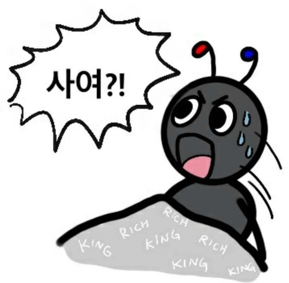 첨부 이미지
