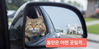 첨부 이미지