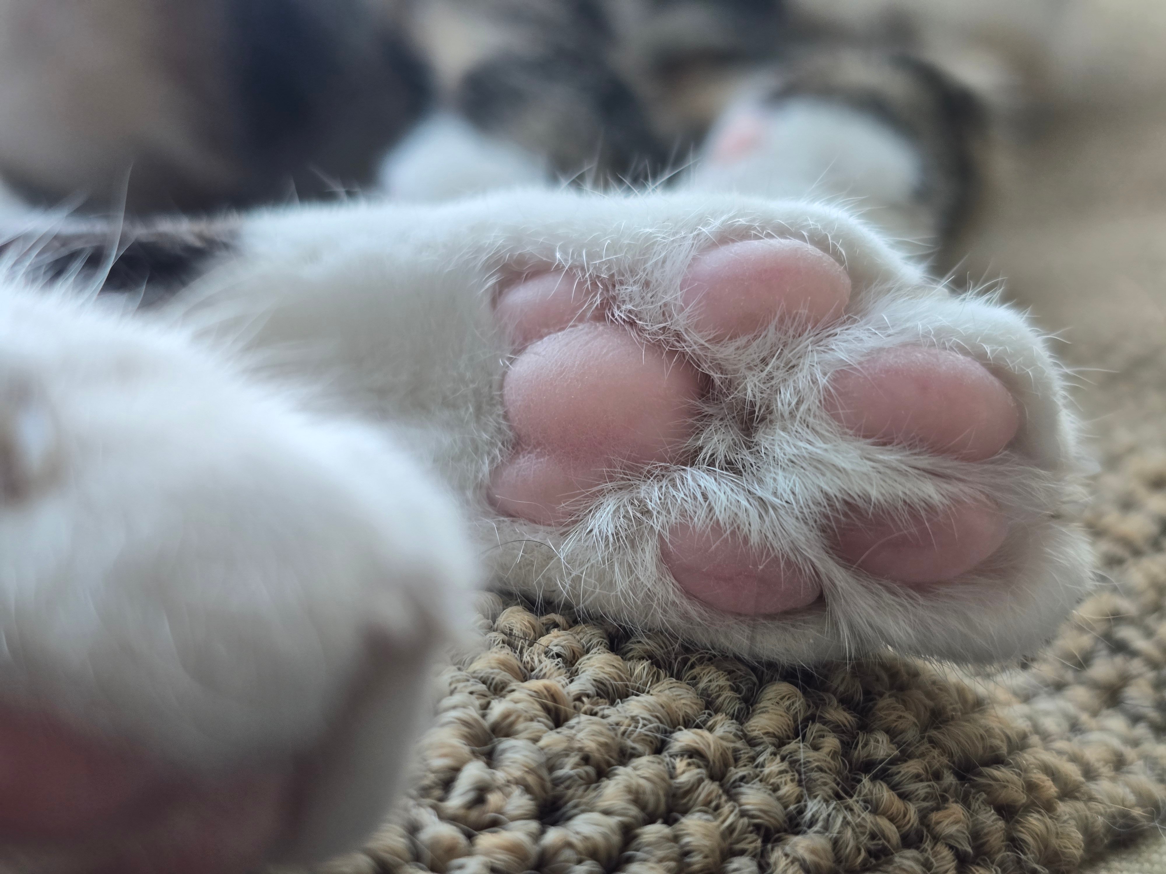 20260517_170414.jpg