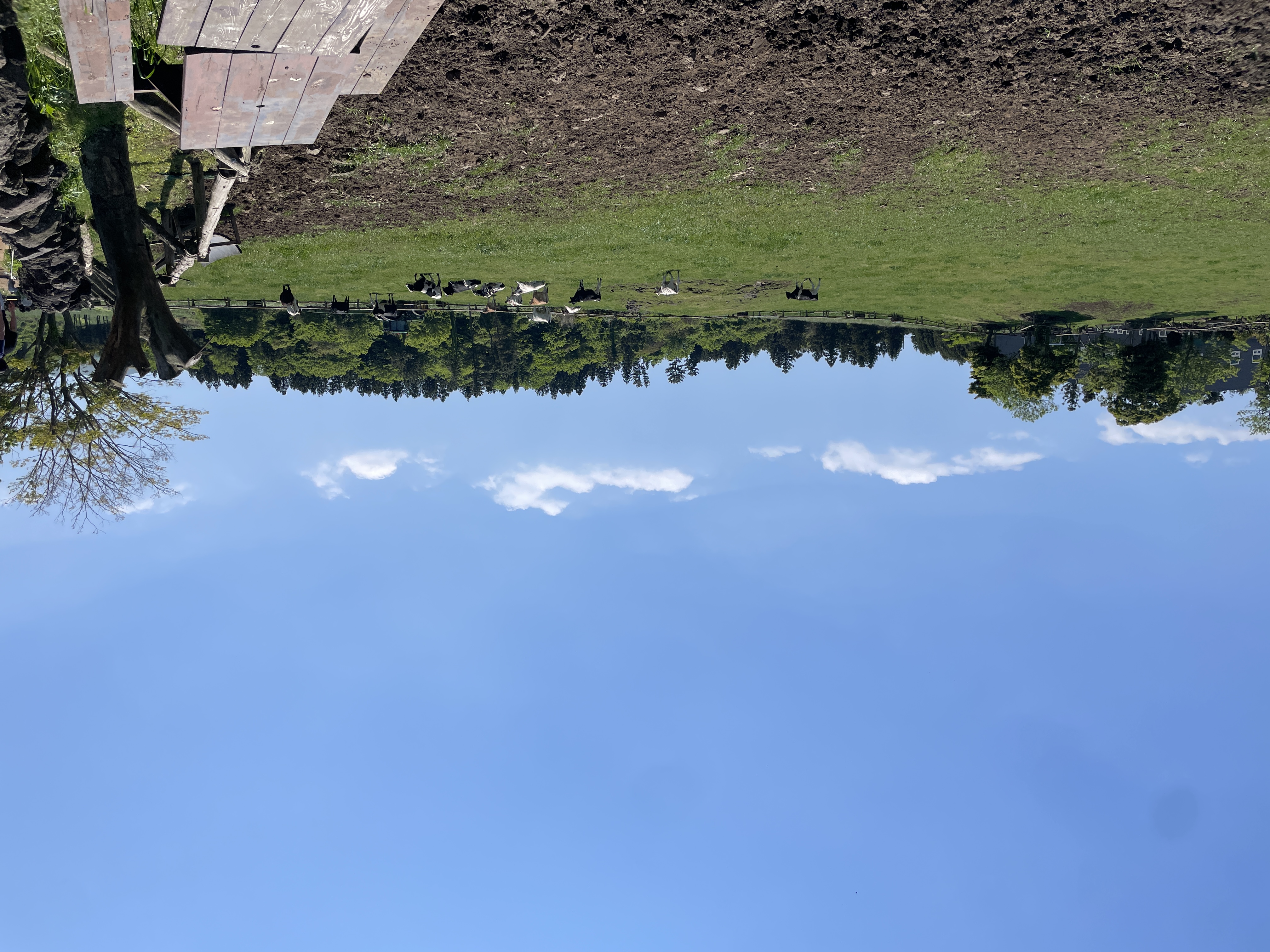 IMG_3094.jpeg