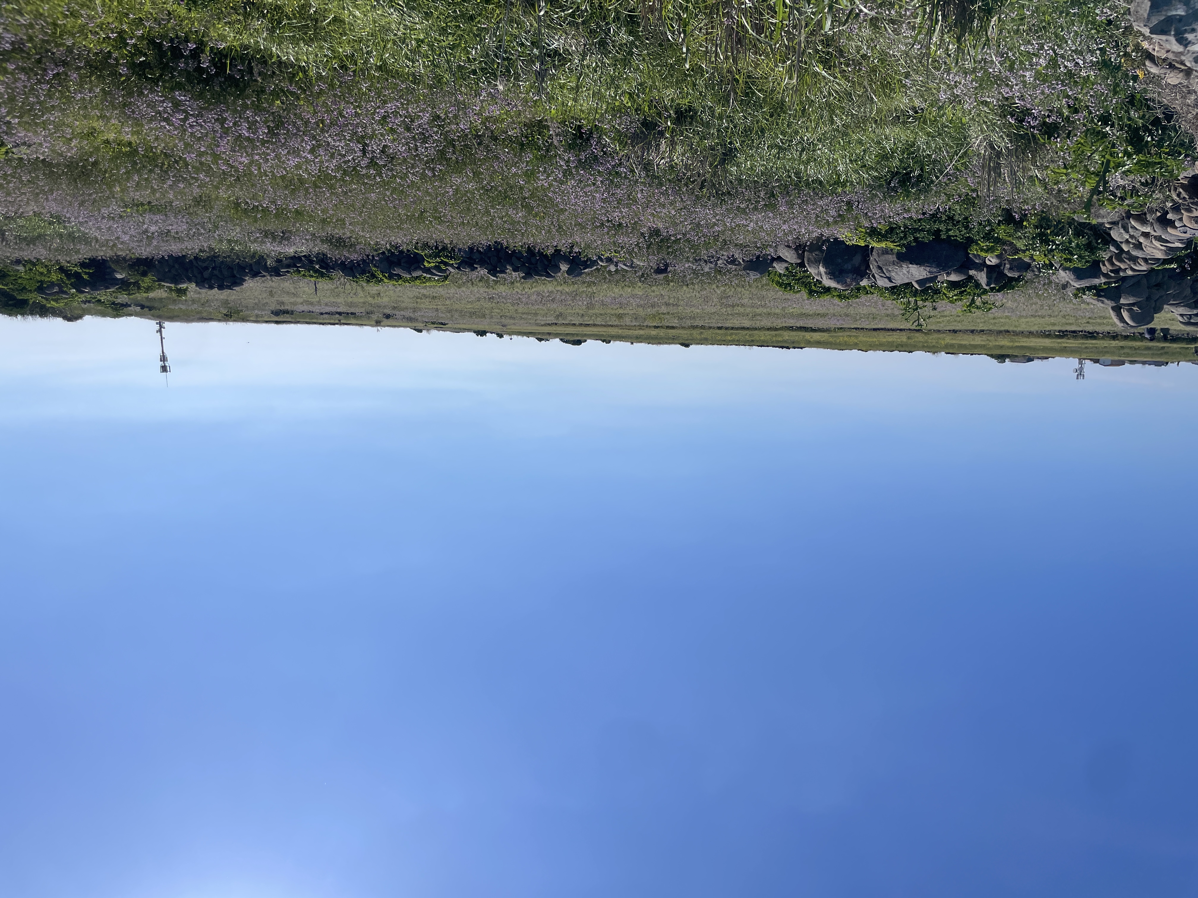 IMG_3029.jpeg