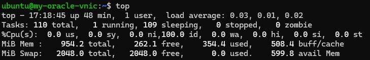 ubunto_capture.png