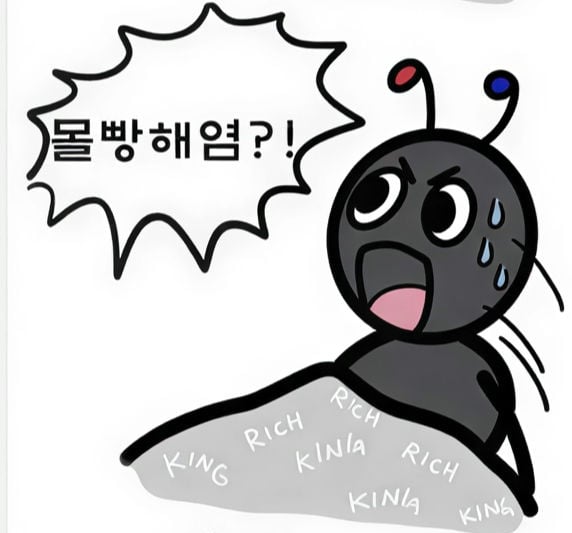 첨부 이미지