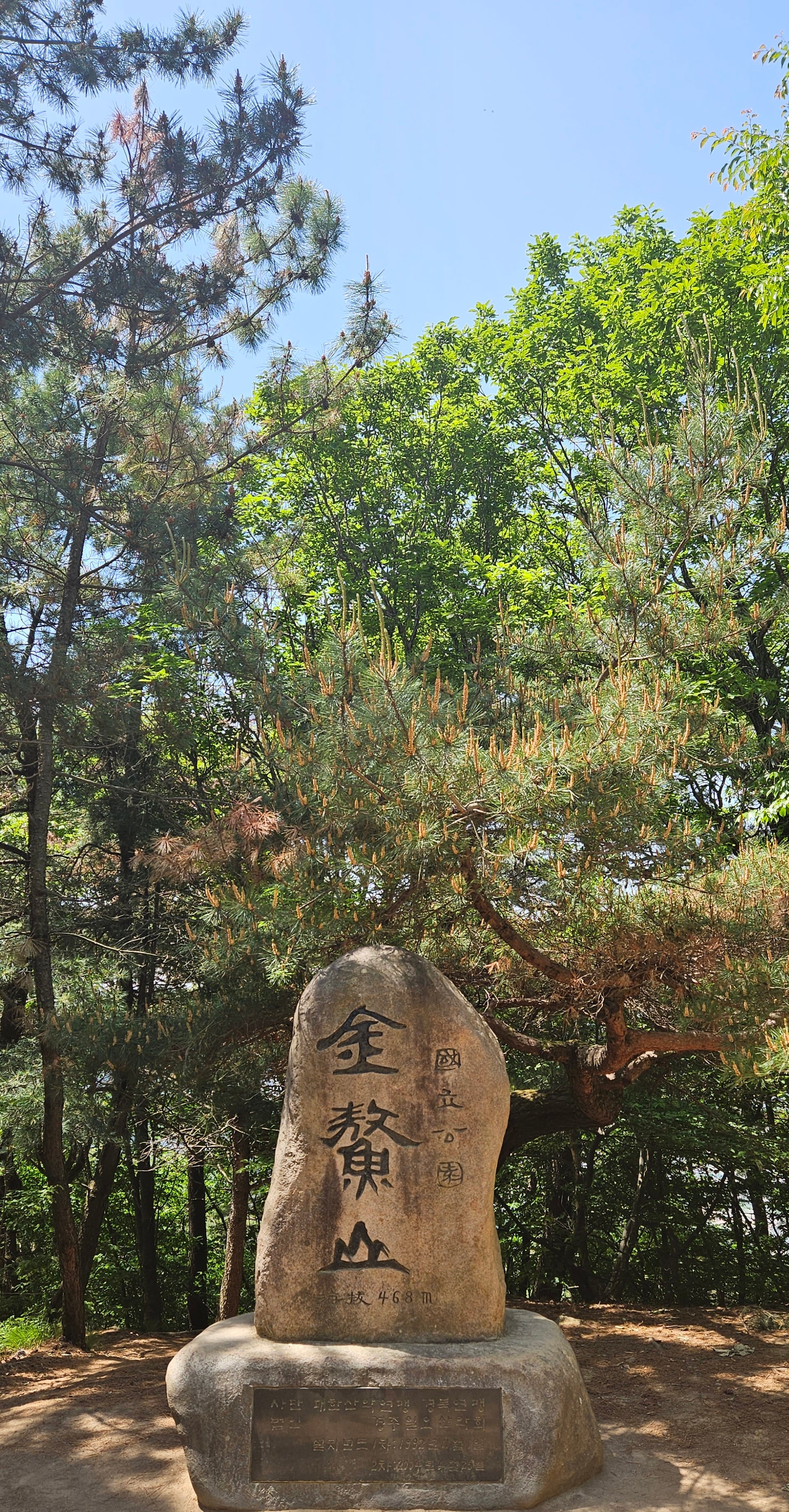 첨부 이미지