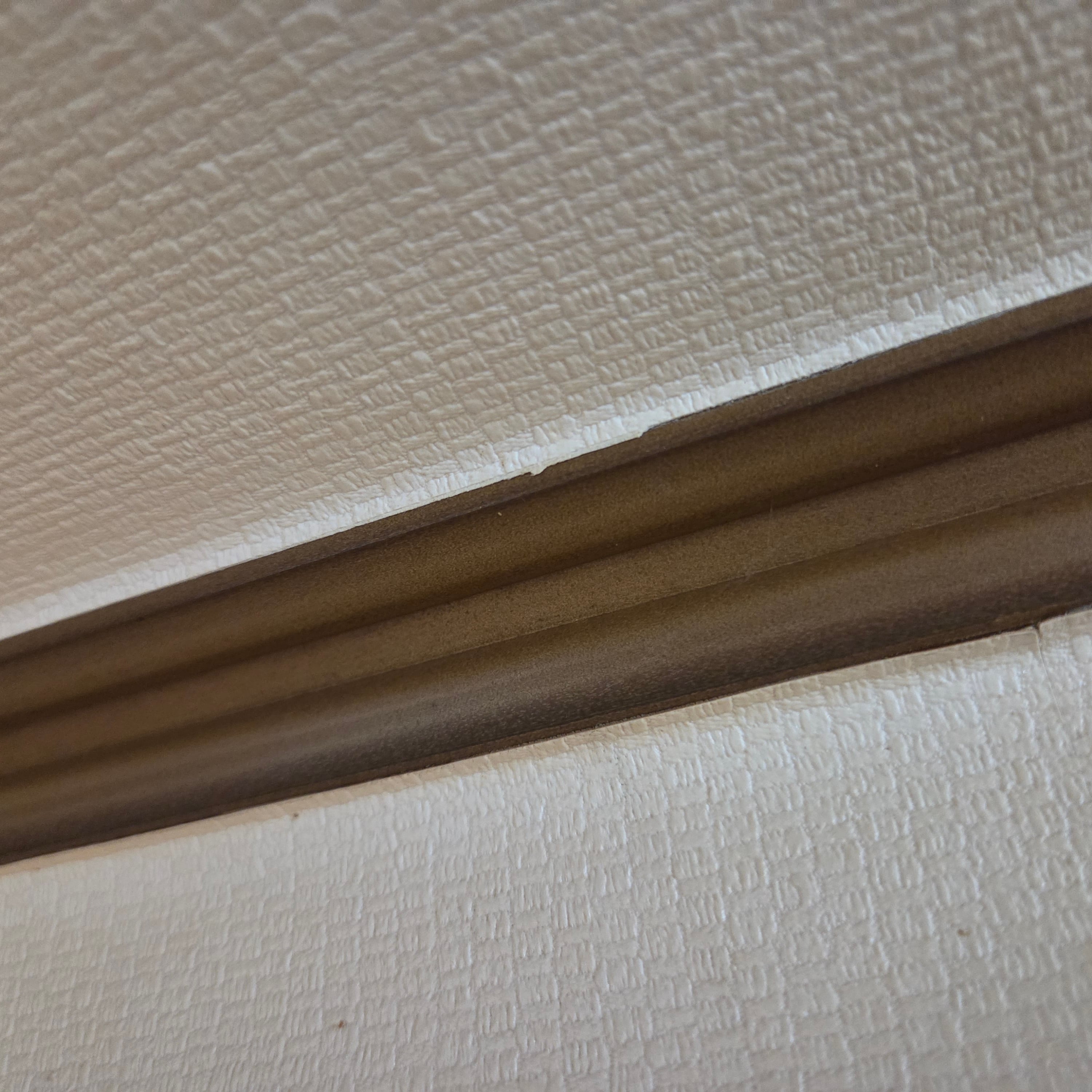 20260504_122512.jpg
