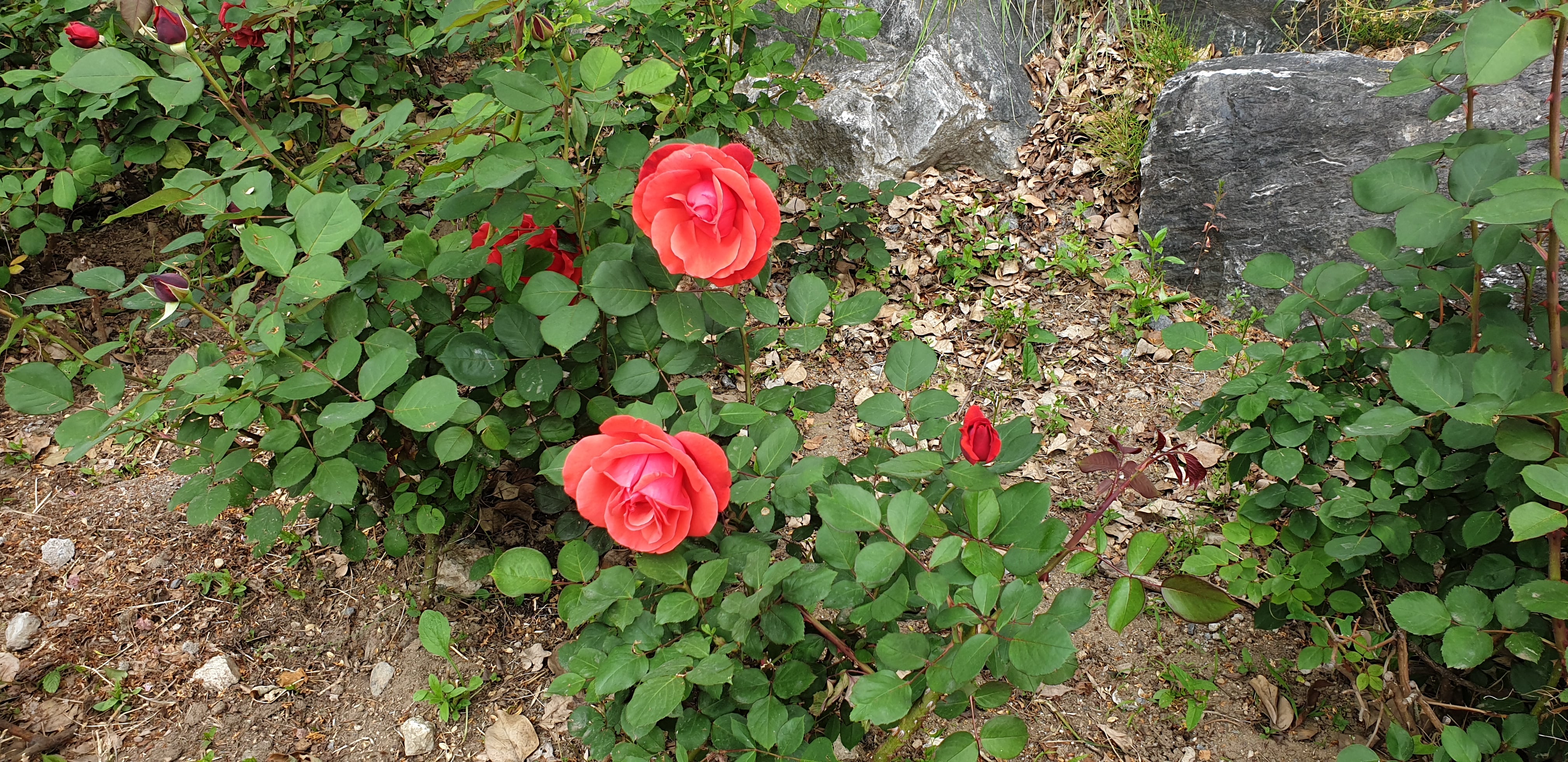 20260511_133838.jpg