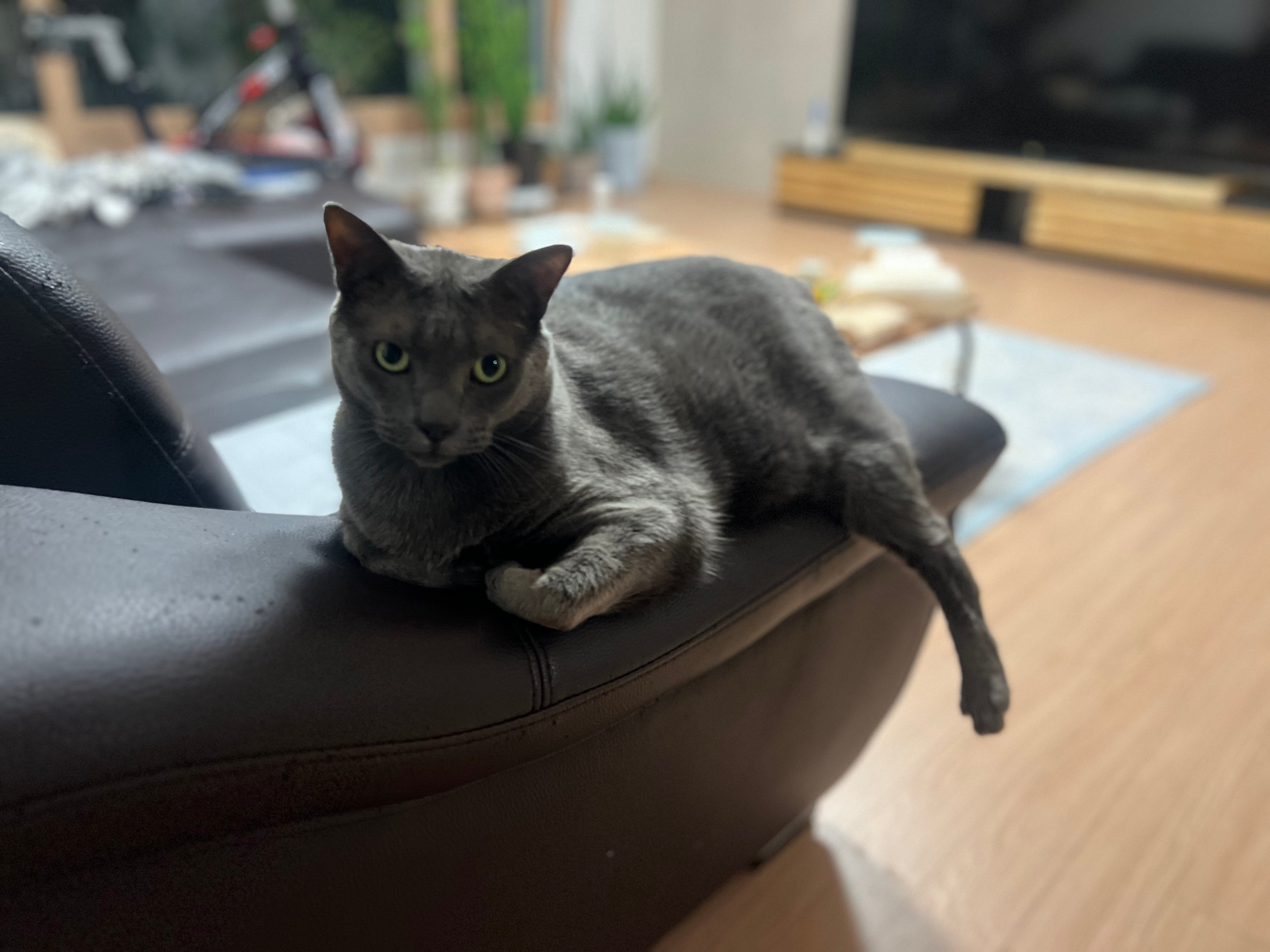 IMG_6374.jpeg