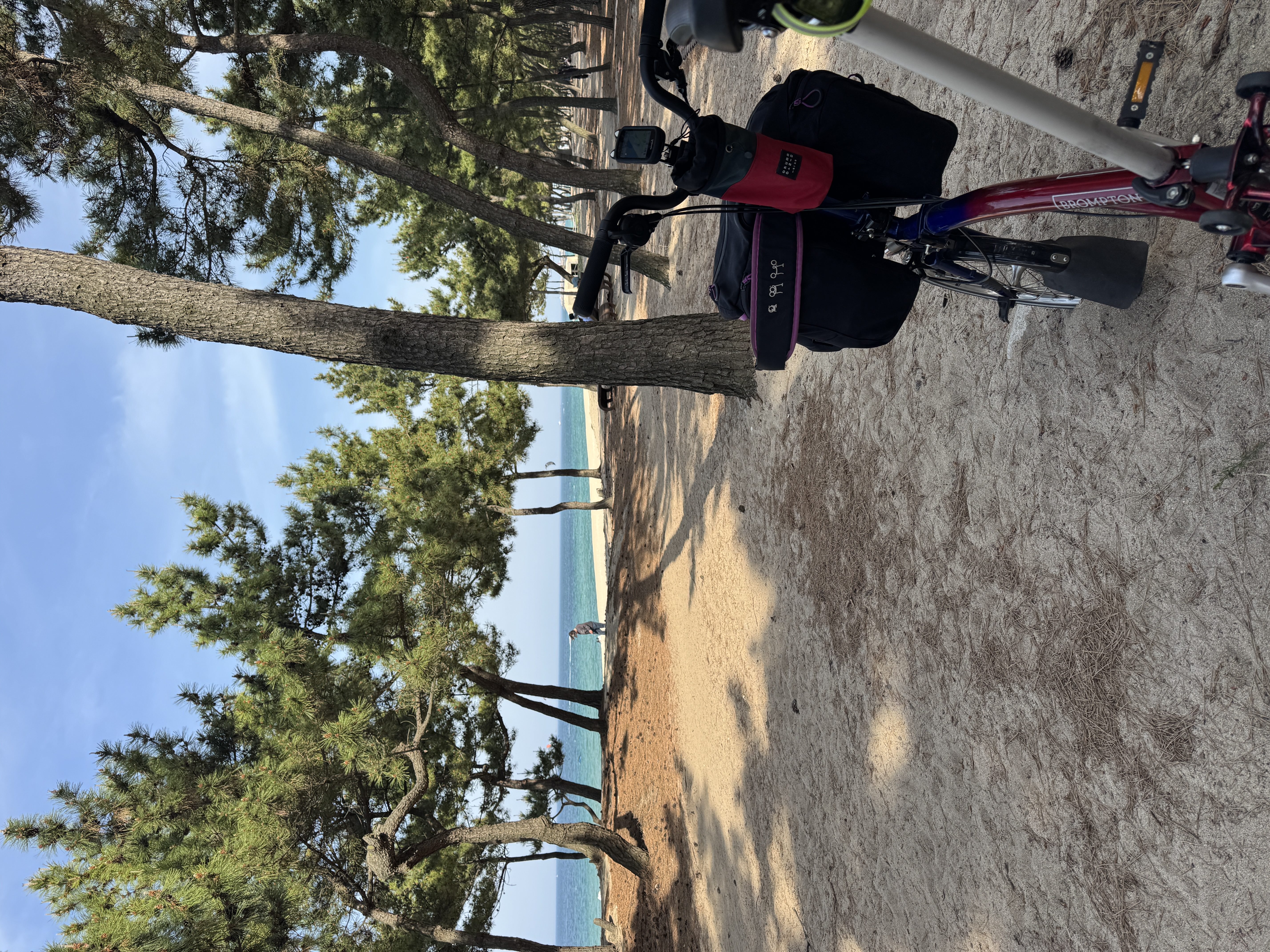 IMG_1816.JPEG