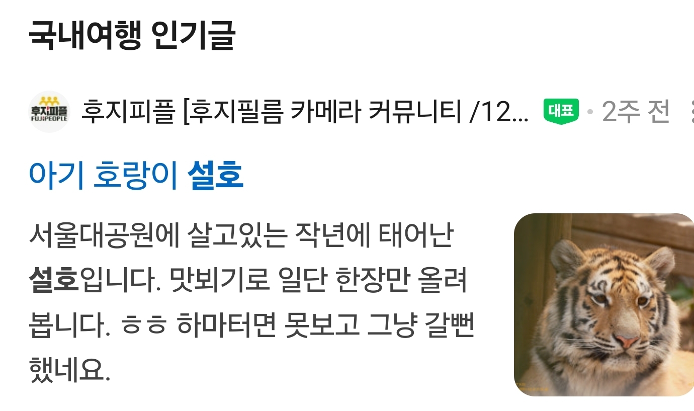 첨부 이미지