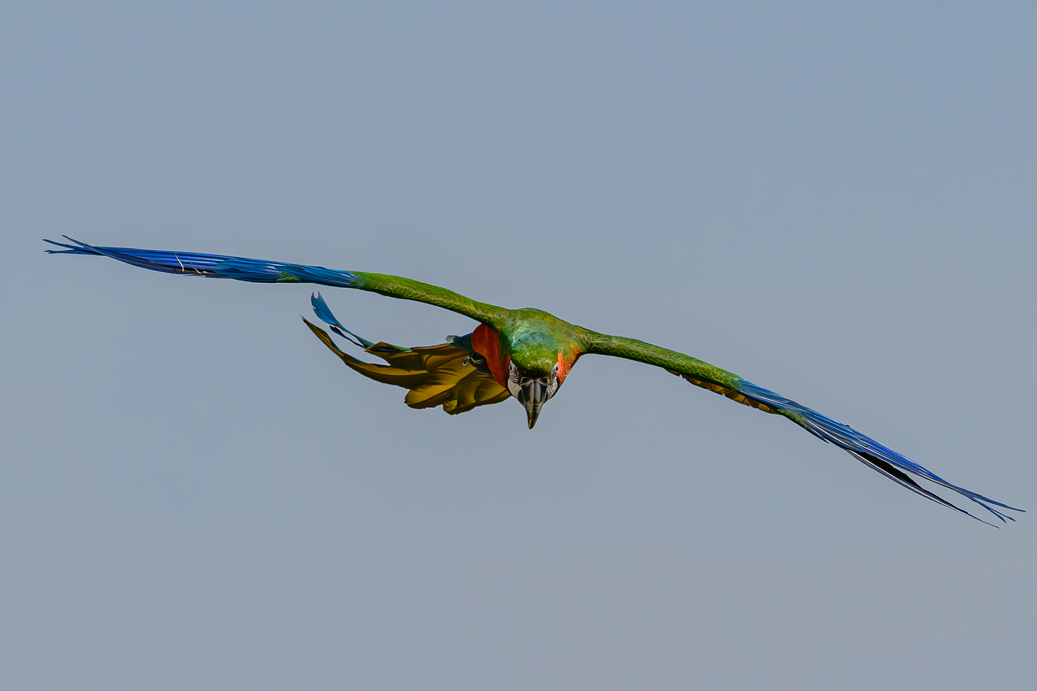 K15_8892.jpg