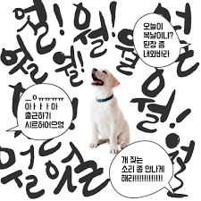 첨부 이미지