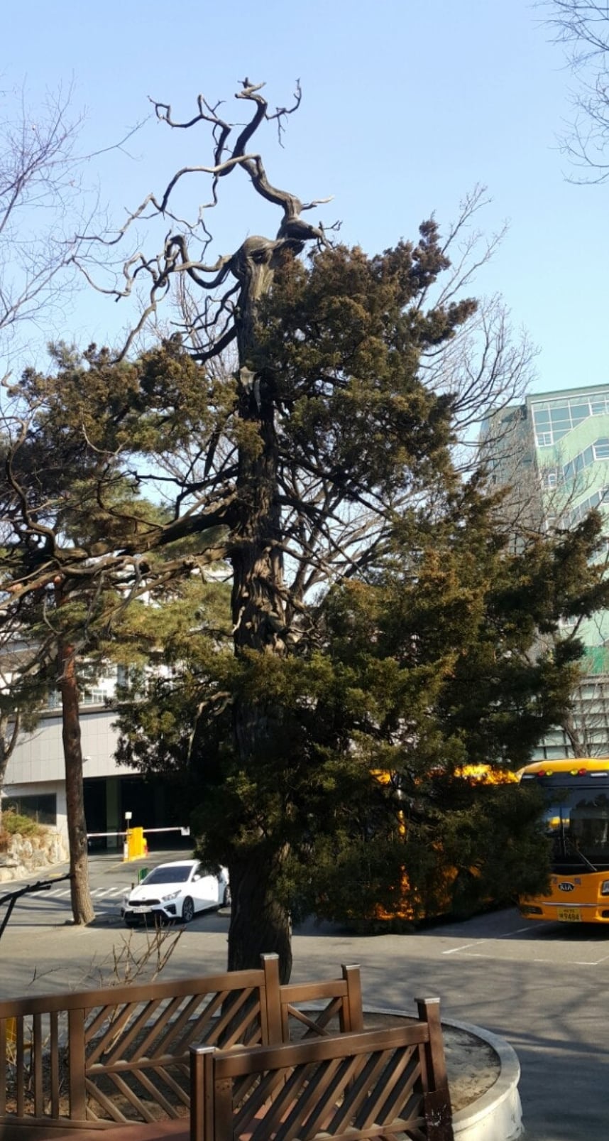 첨부 이미지