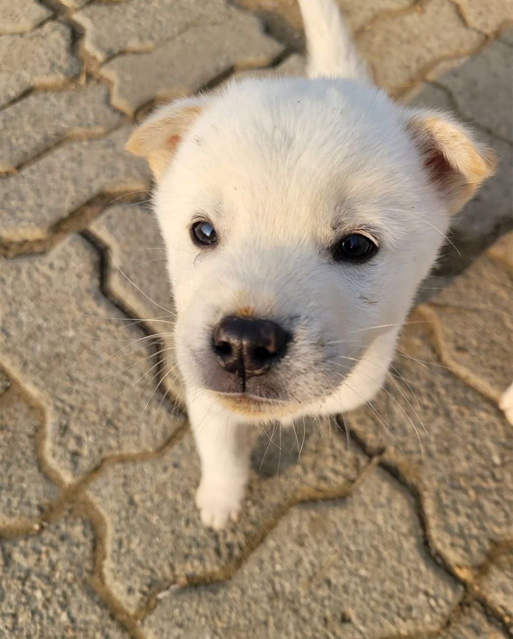 첨부 이미지