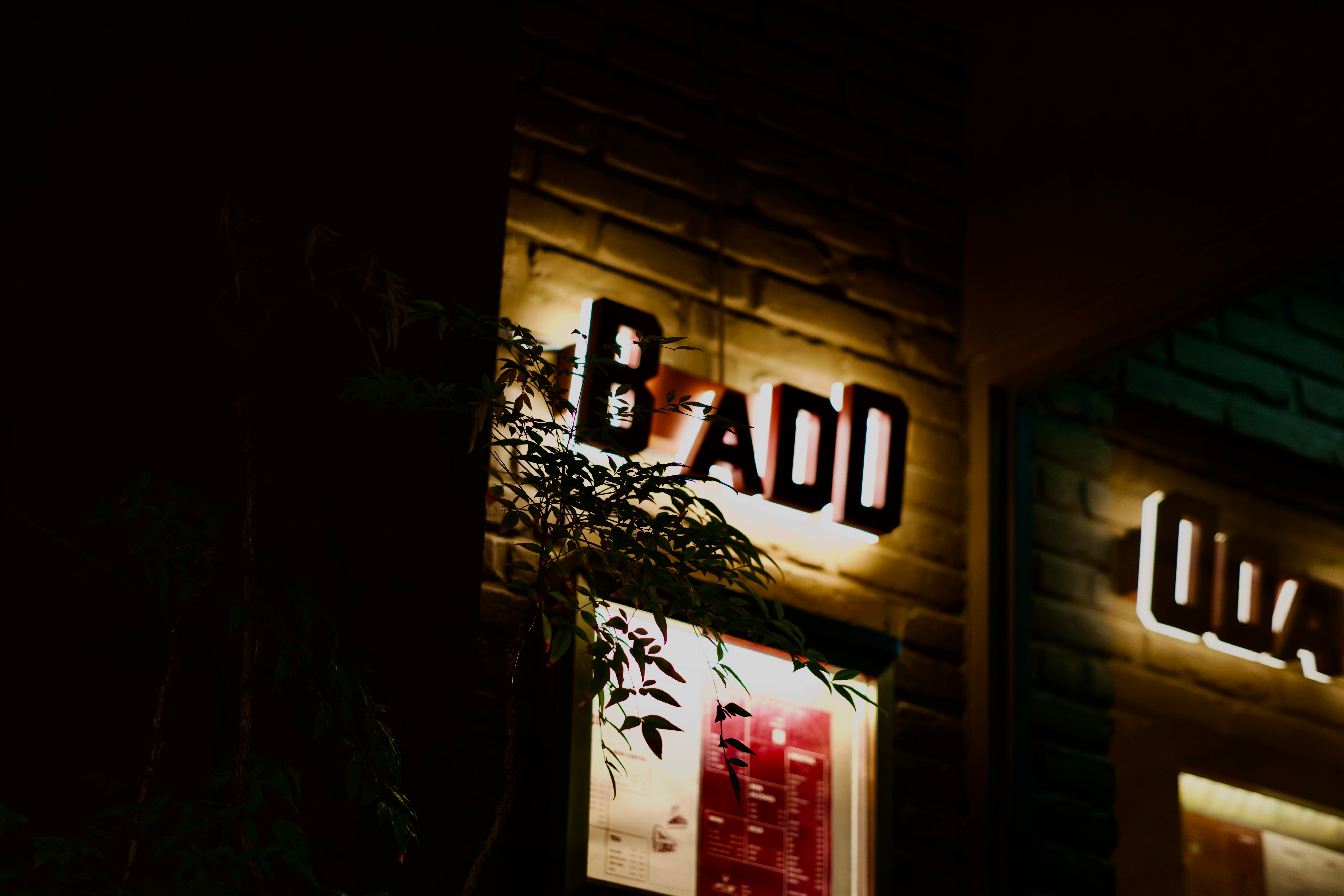 DSC01519.jpeg