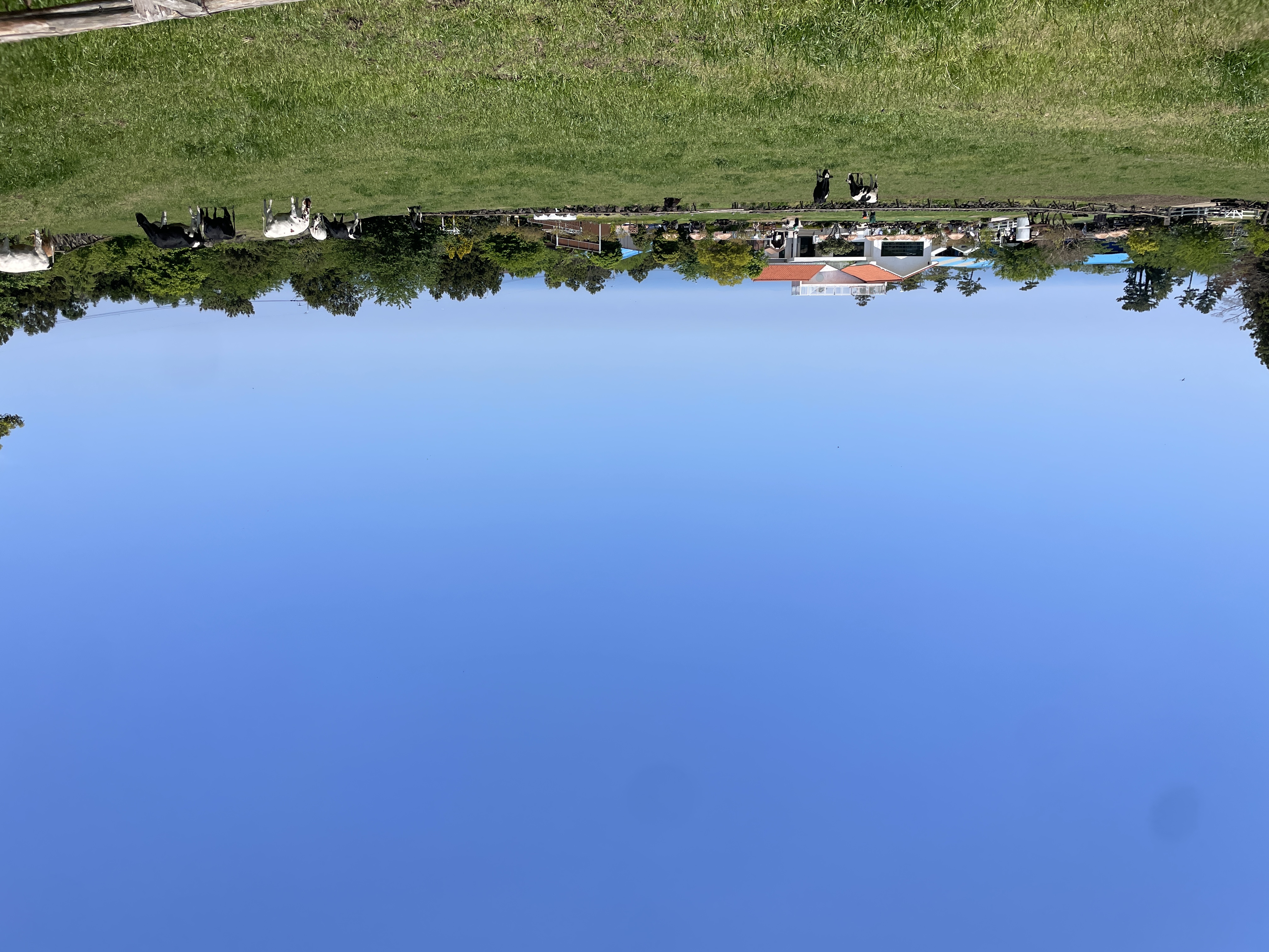 IMG_3114.jpeg