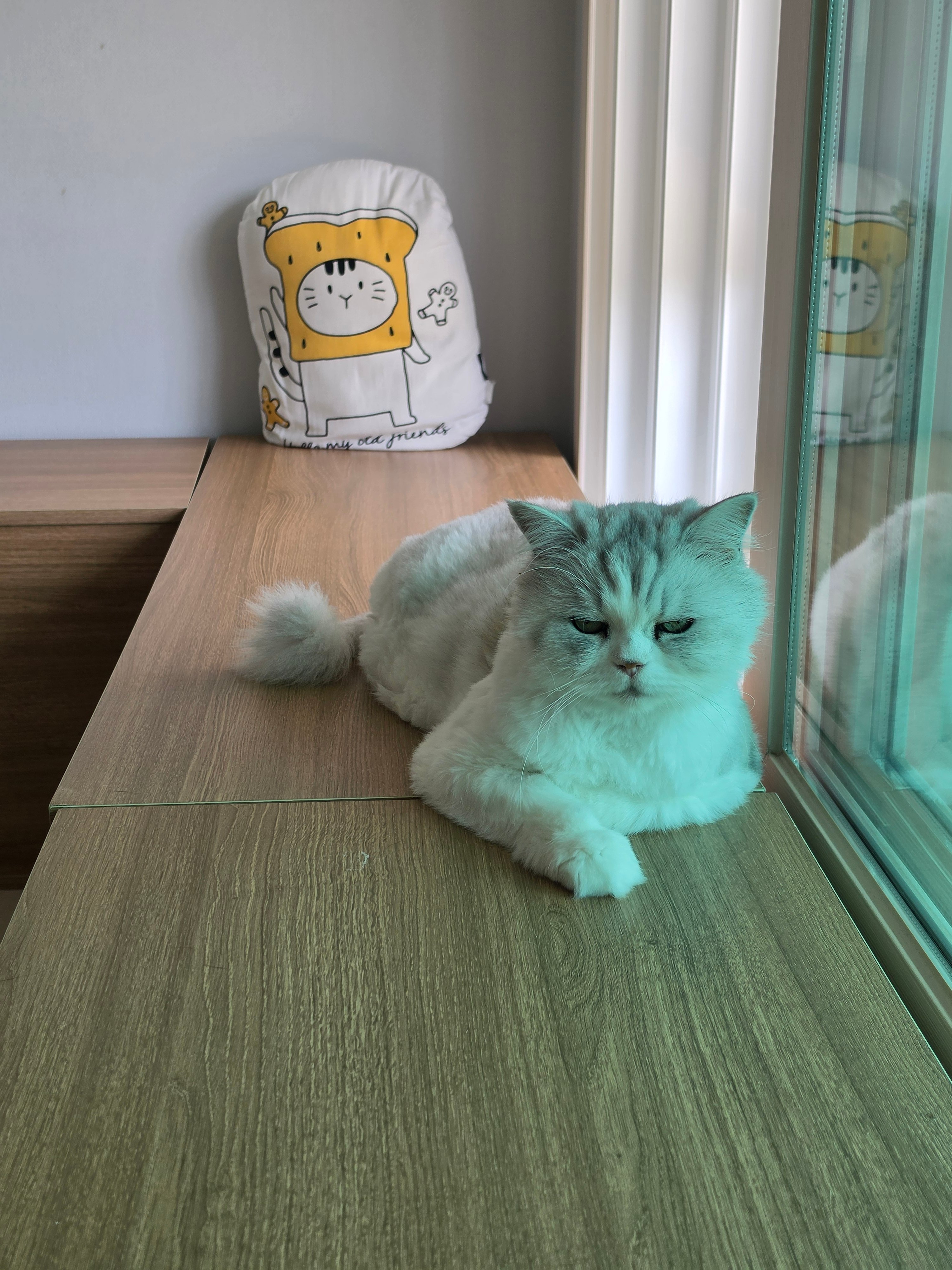 첨부 이미지