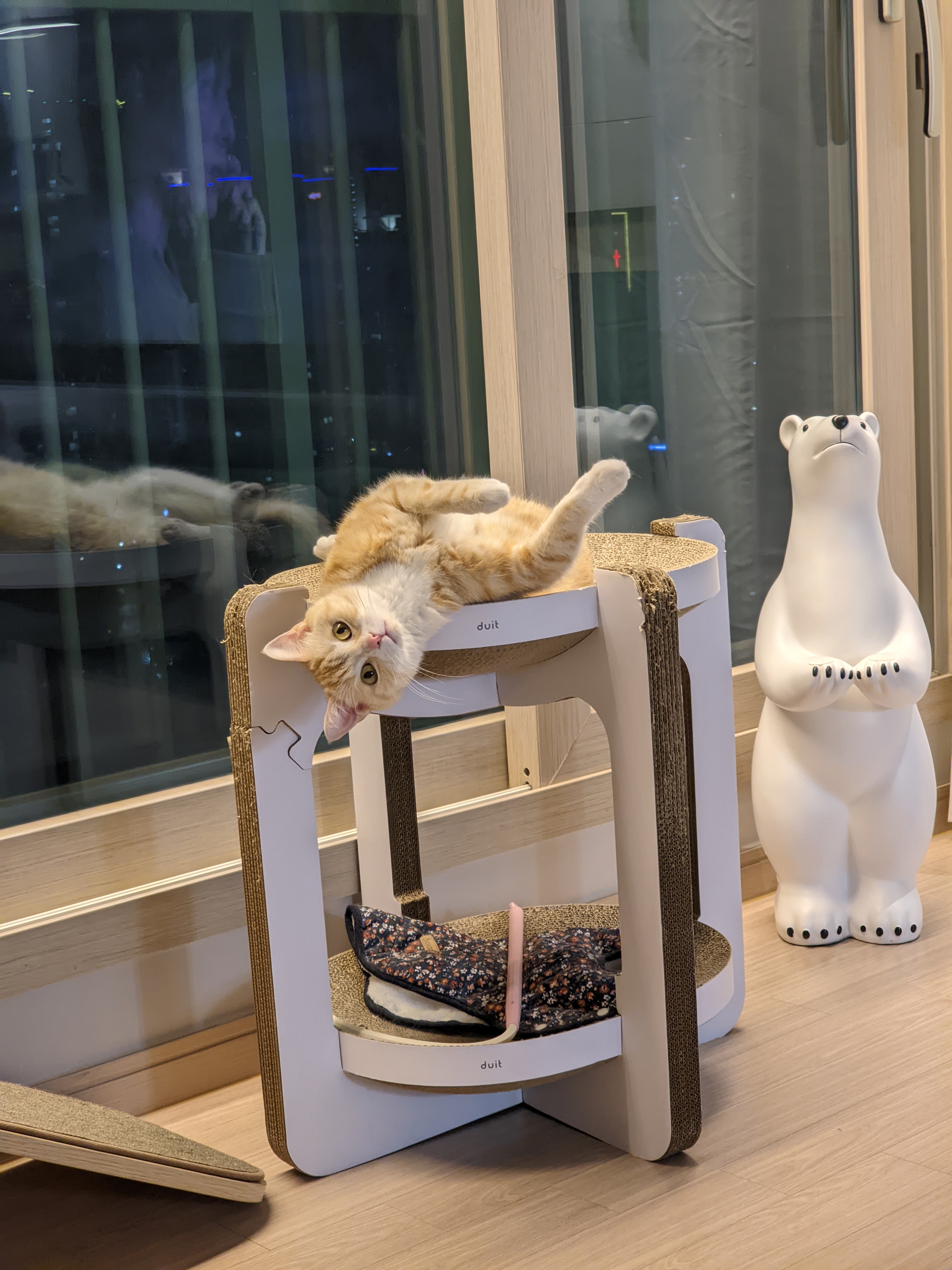 첨부 이미지
