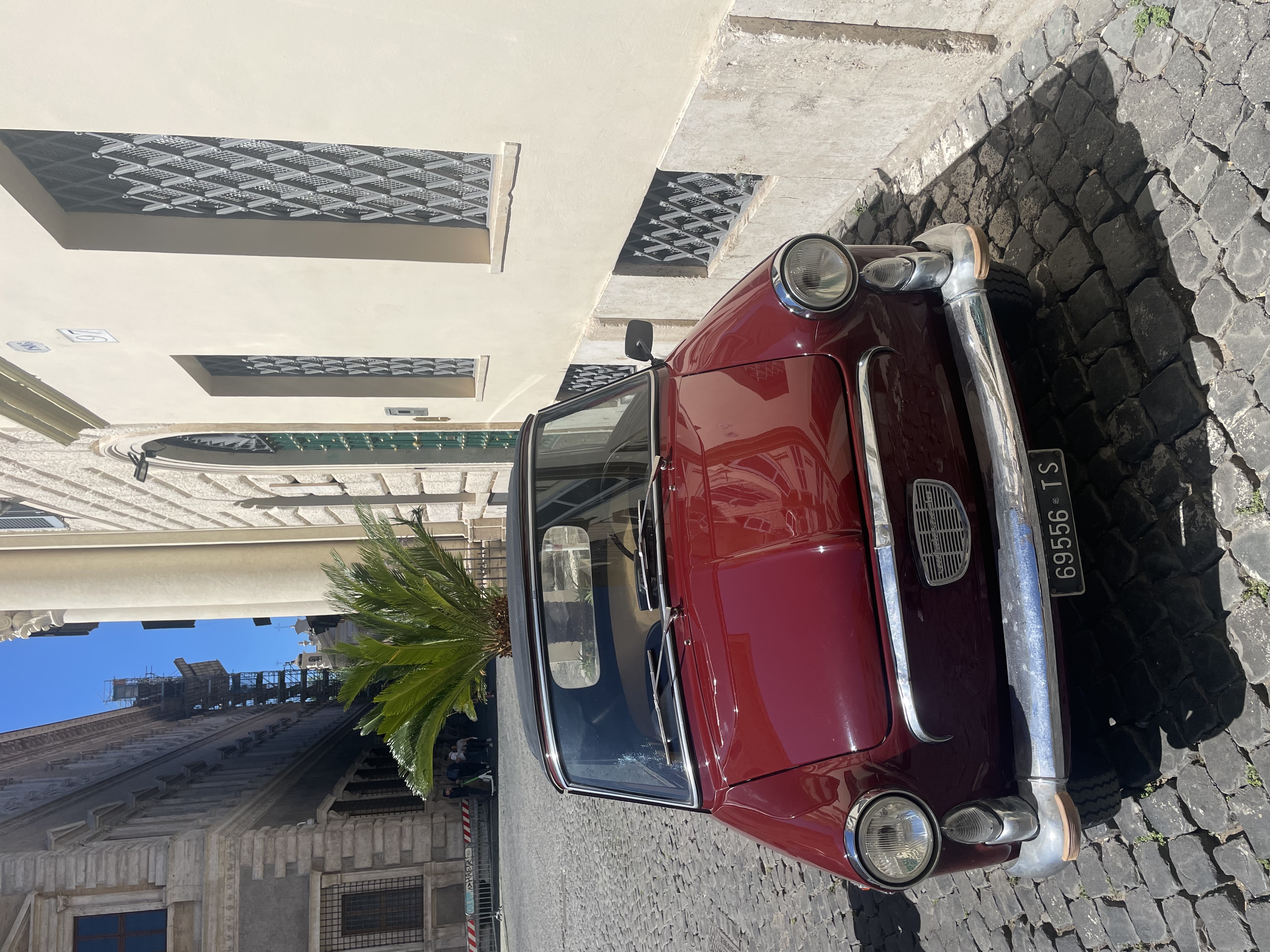IMG_3584.jpeg