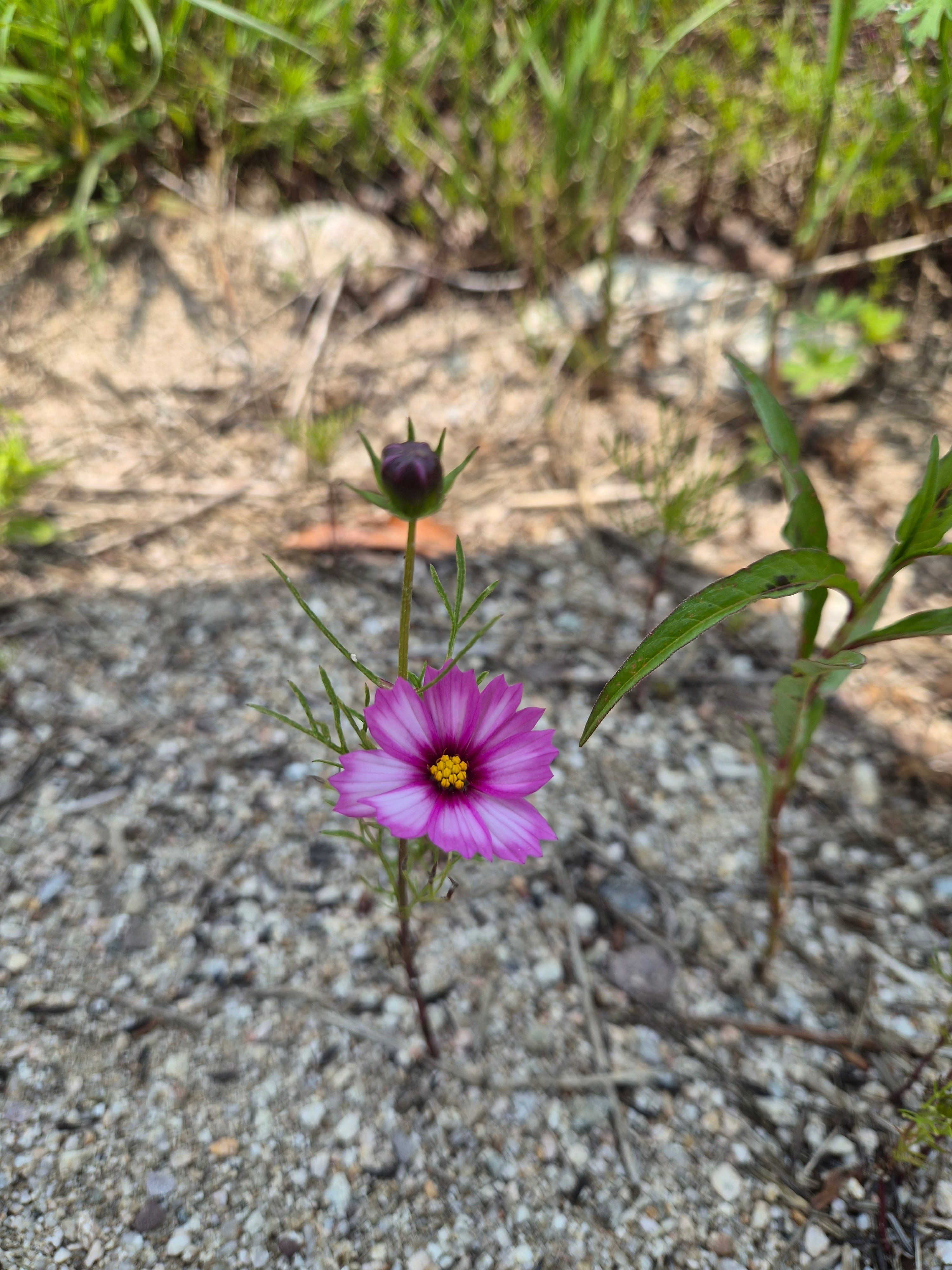 20260514_124632.jpg