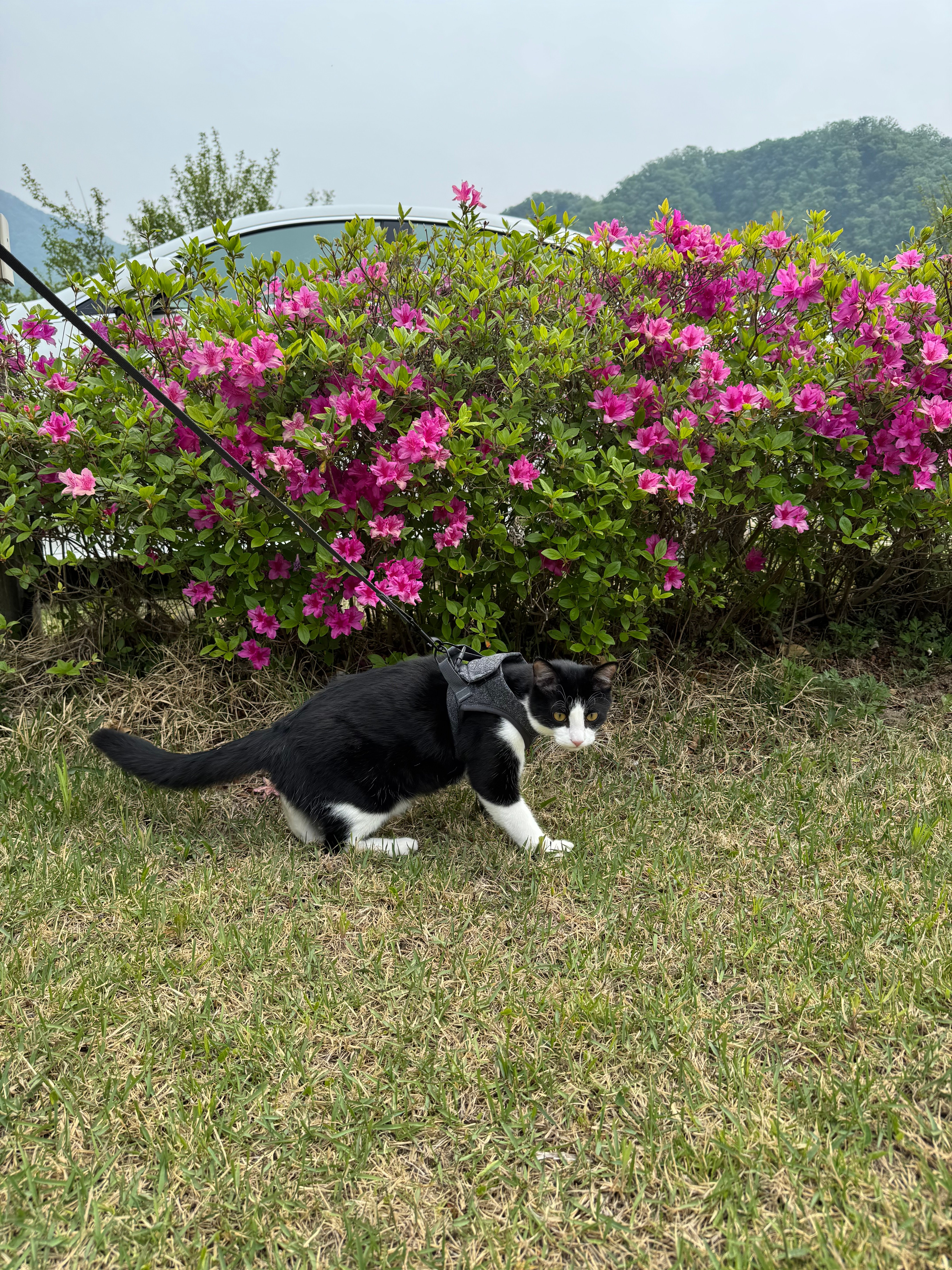 KakaoTalk_20260520_162915846_17.jpg