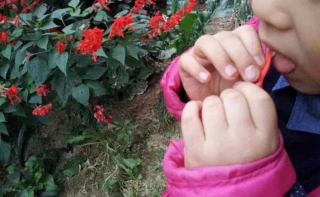 첨부 이미지