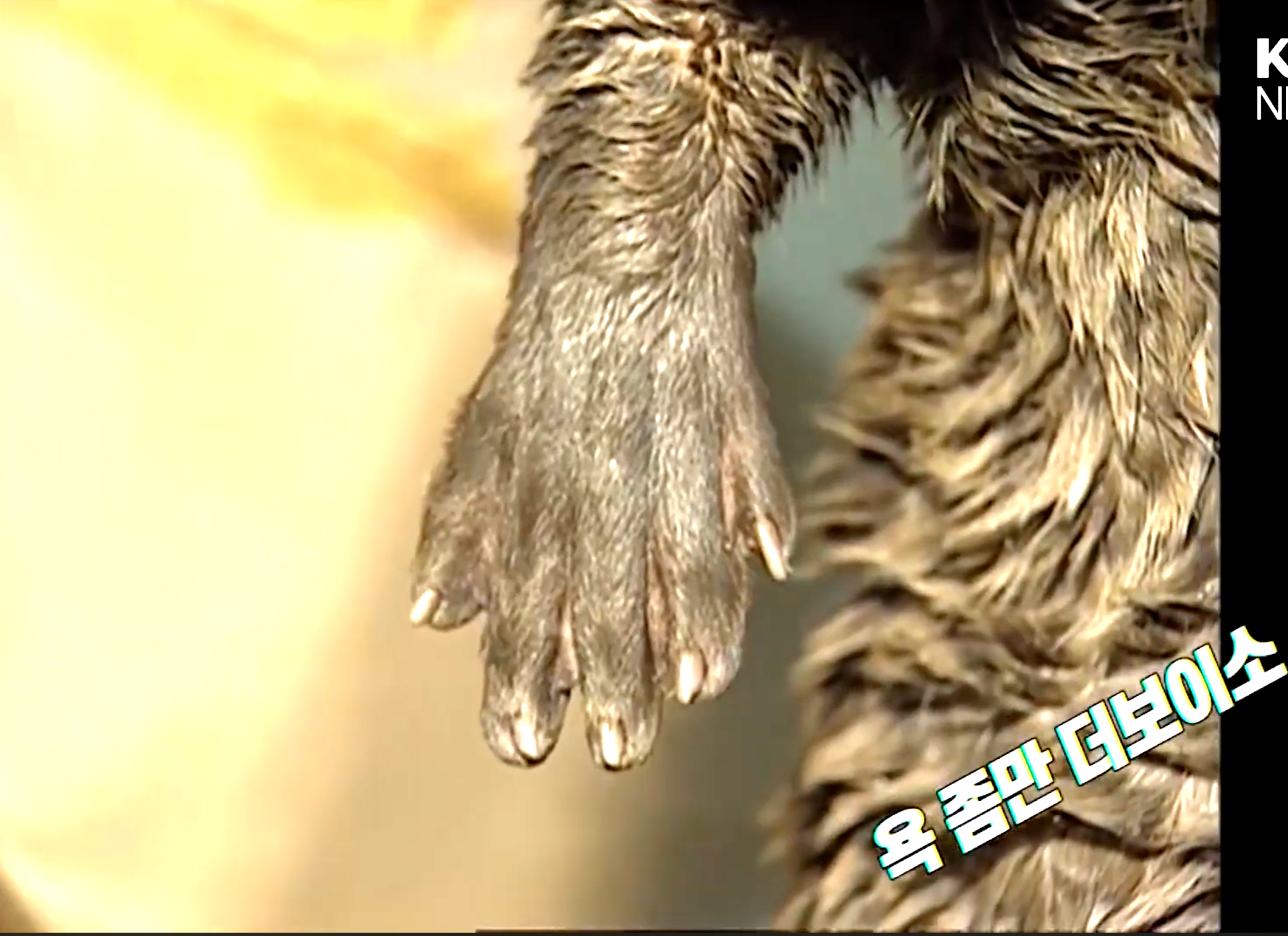 첨부 이미지