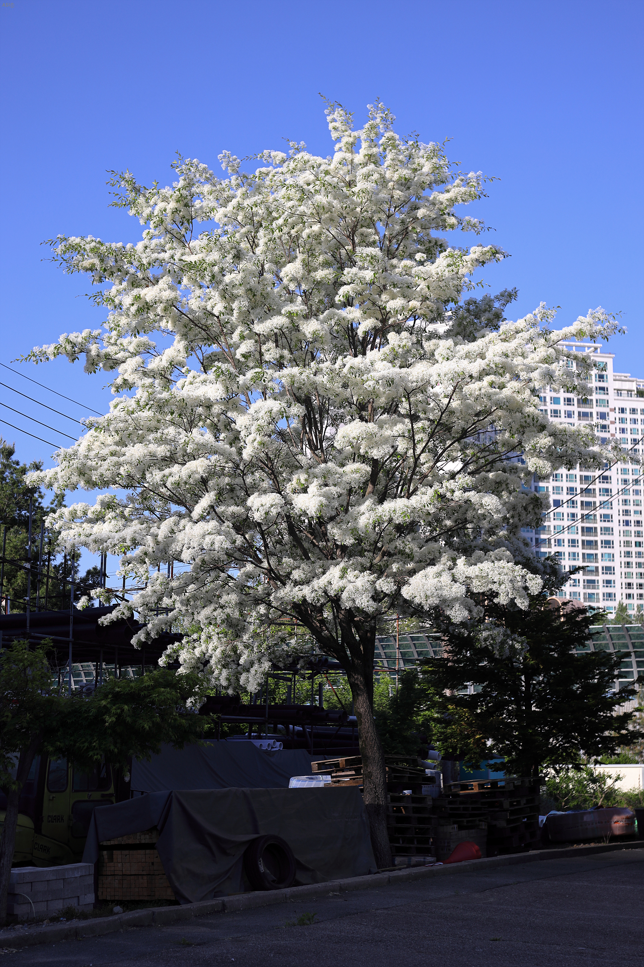 107L8404.jpg