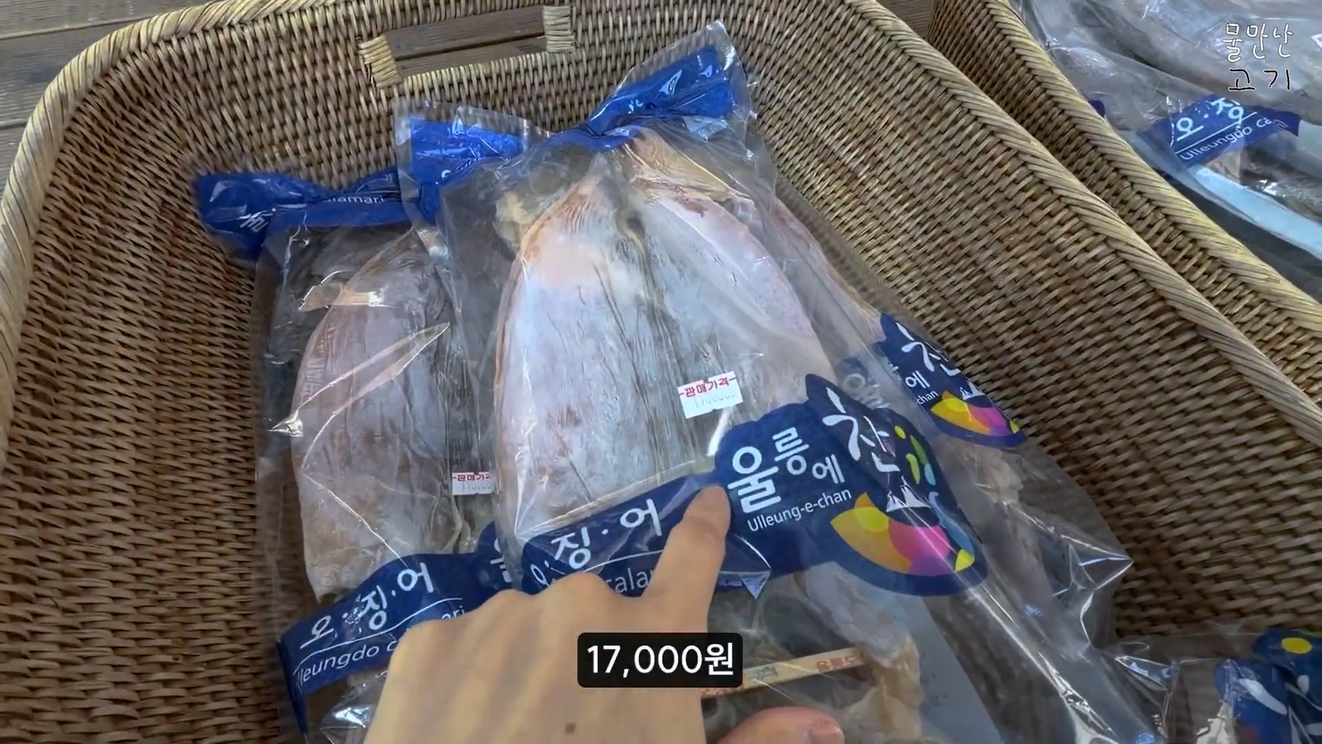 오징어.mp4_20260504_143832.081.jpg