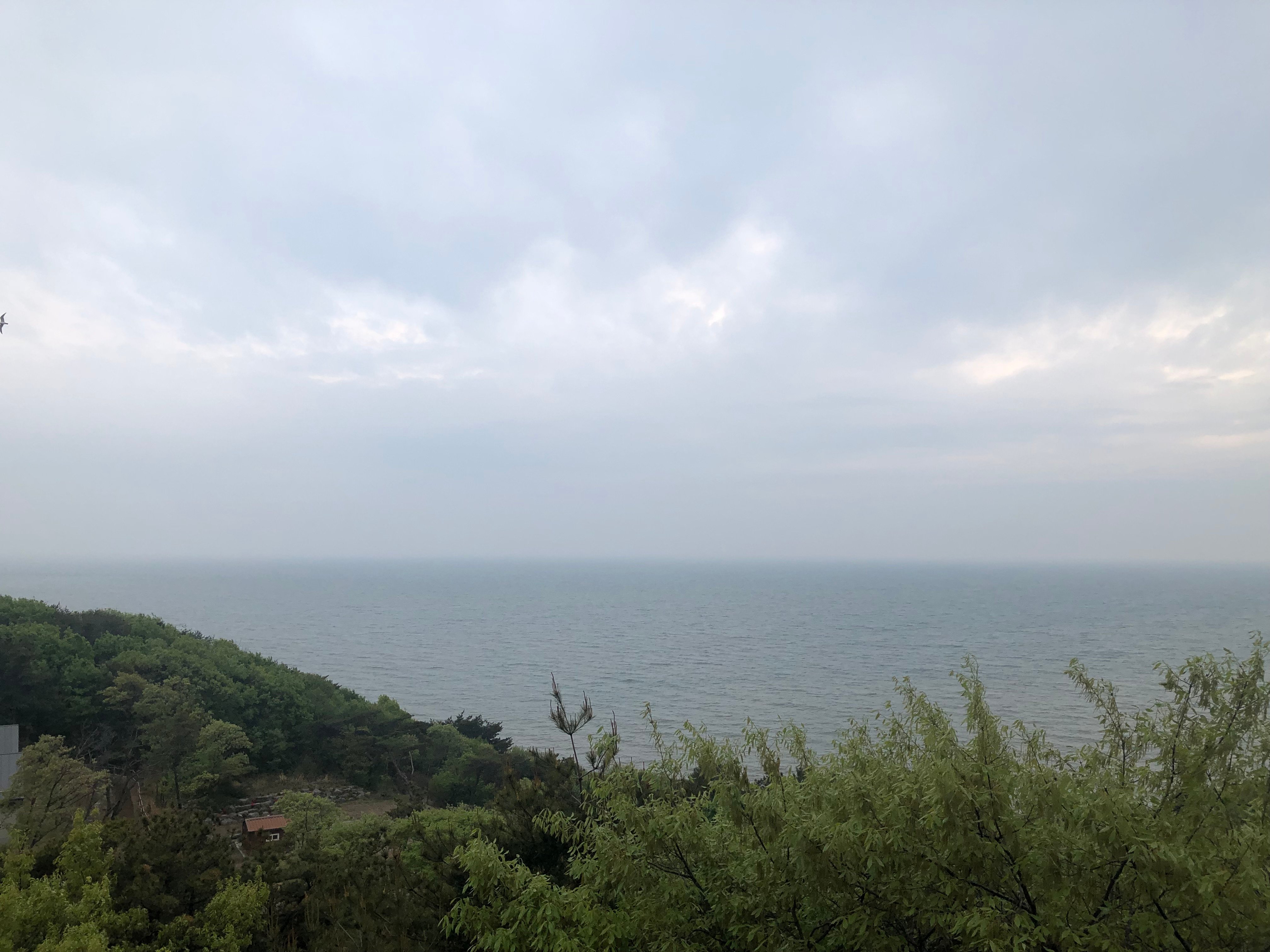 IMG_0197.jpeg
