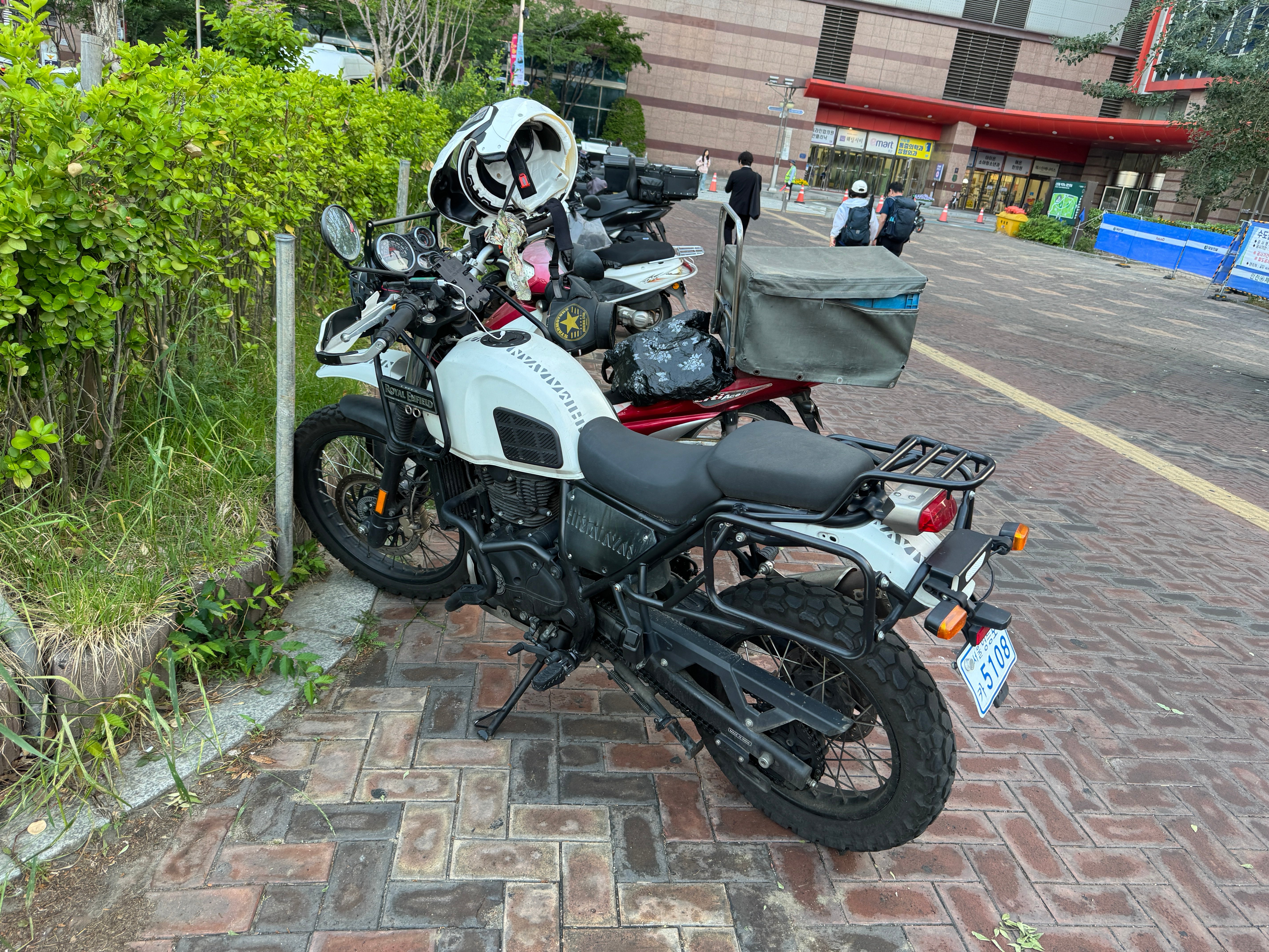 IMG_7174.jpeg