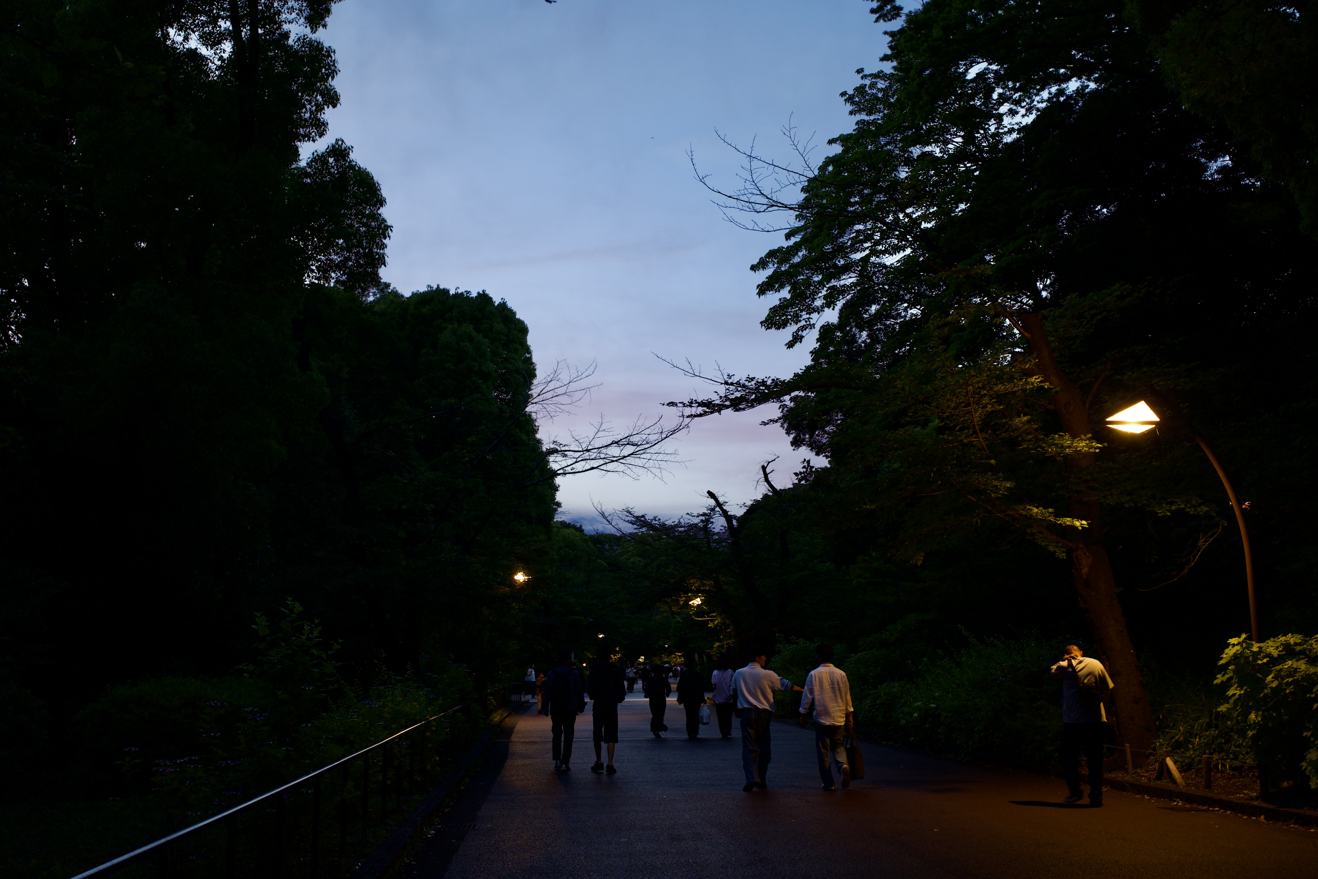 DSC01628.jpeg