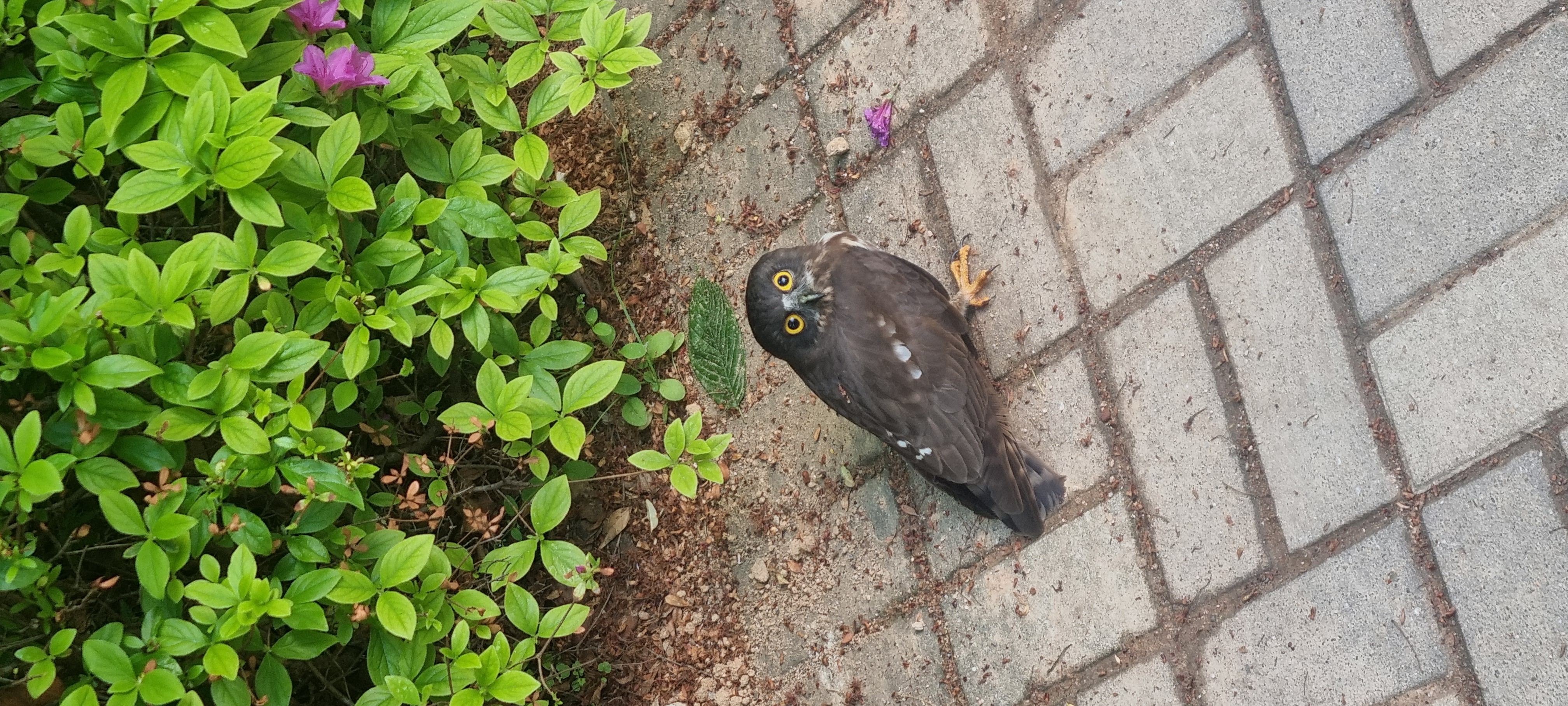 첨부 이미지