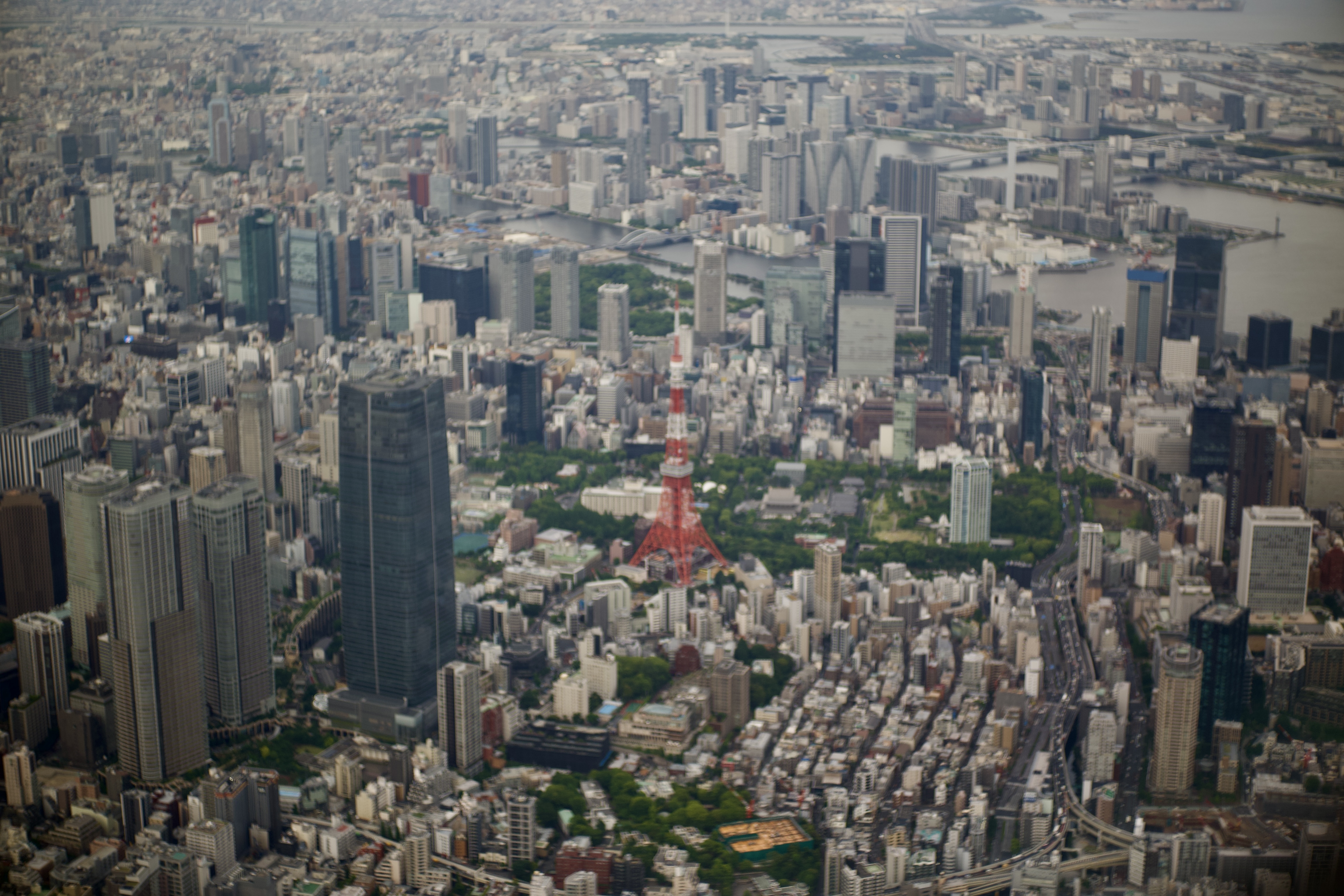 DSC01603.jpeg