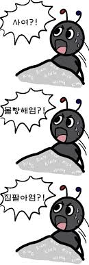 첨부 이미지