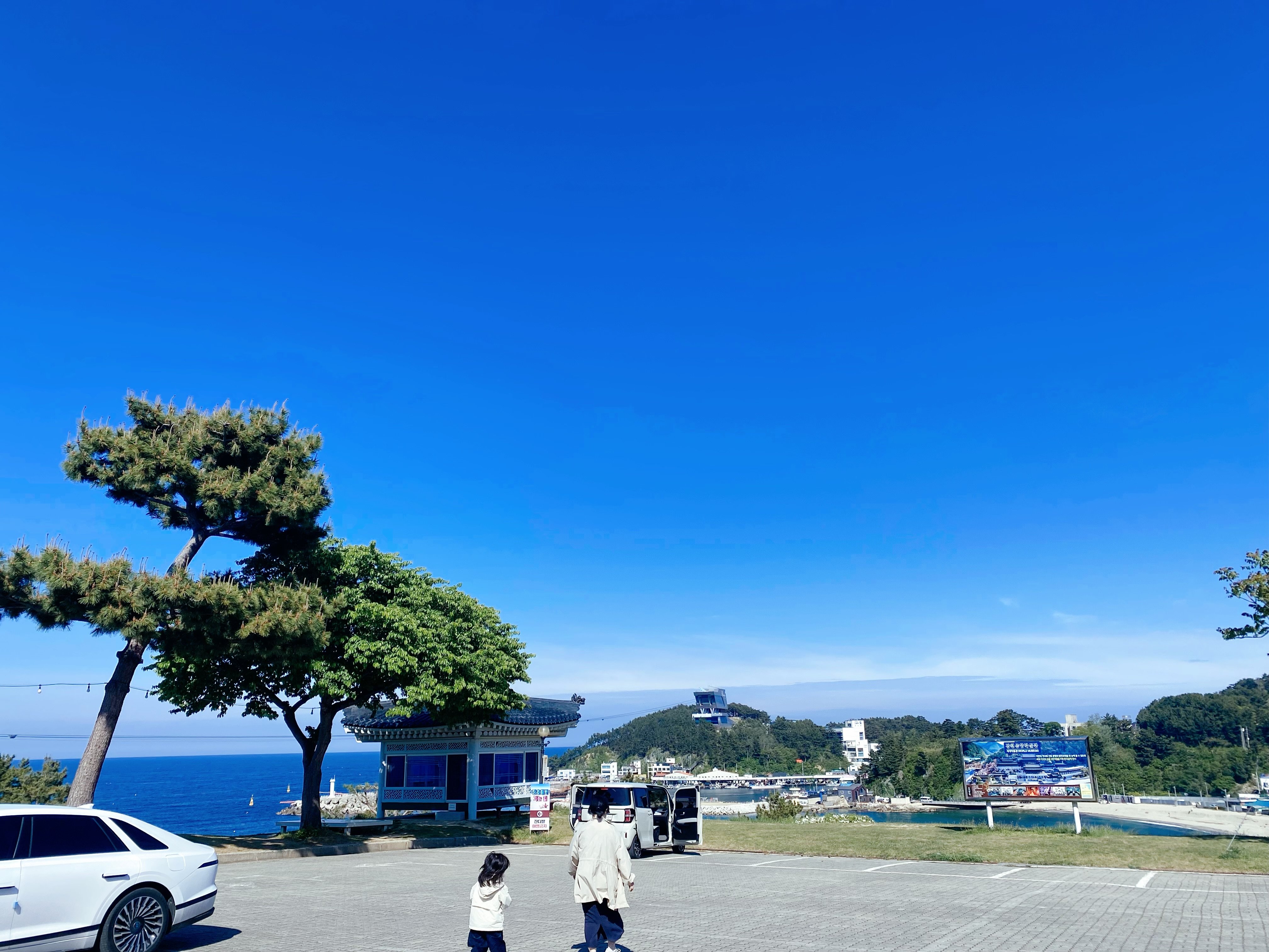 IMG_7642.jpeg