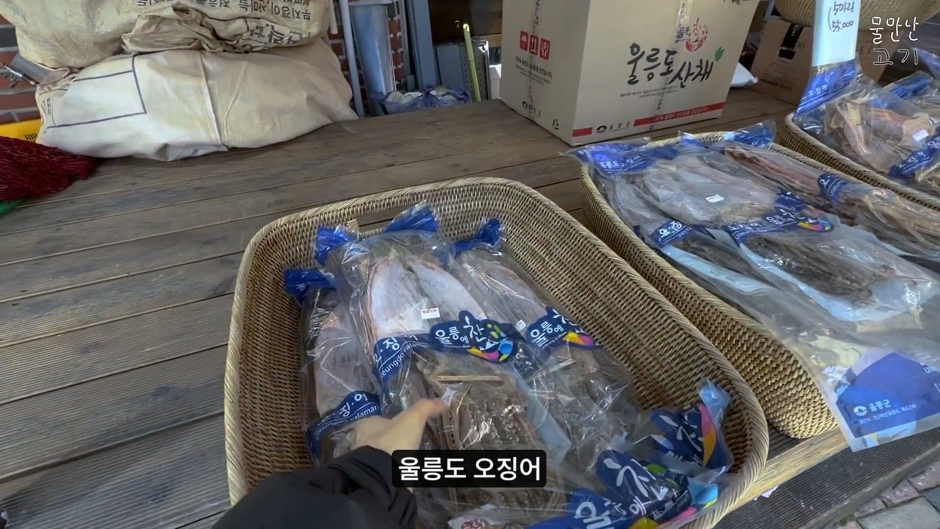 오징어.mp4_20260504_143826.186.jpg