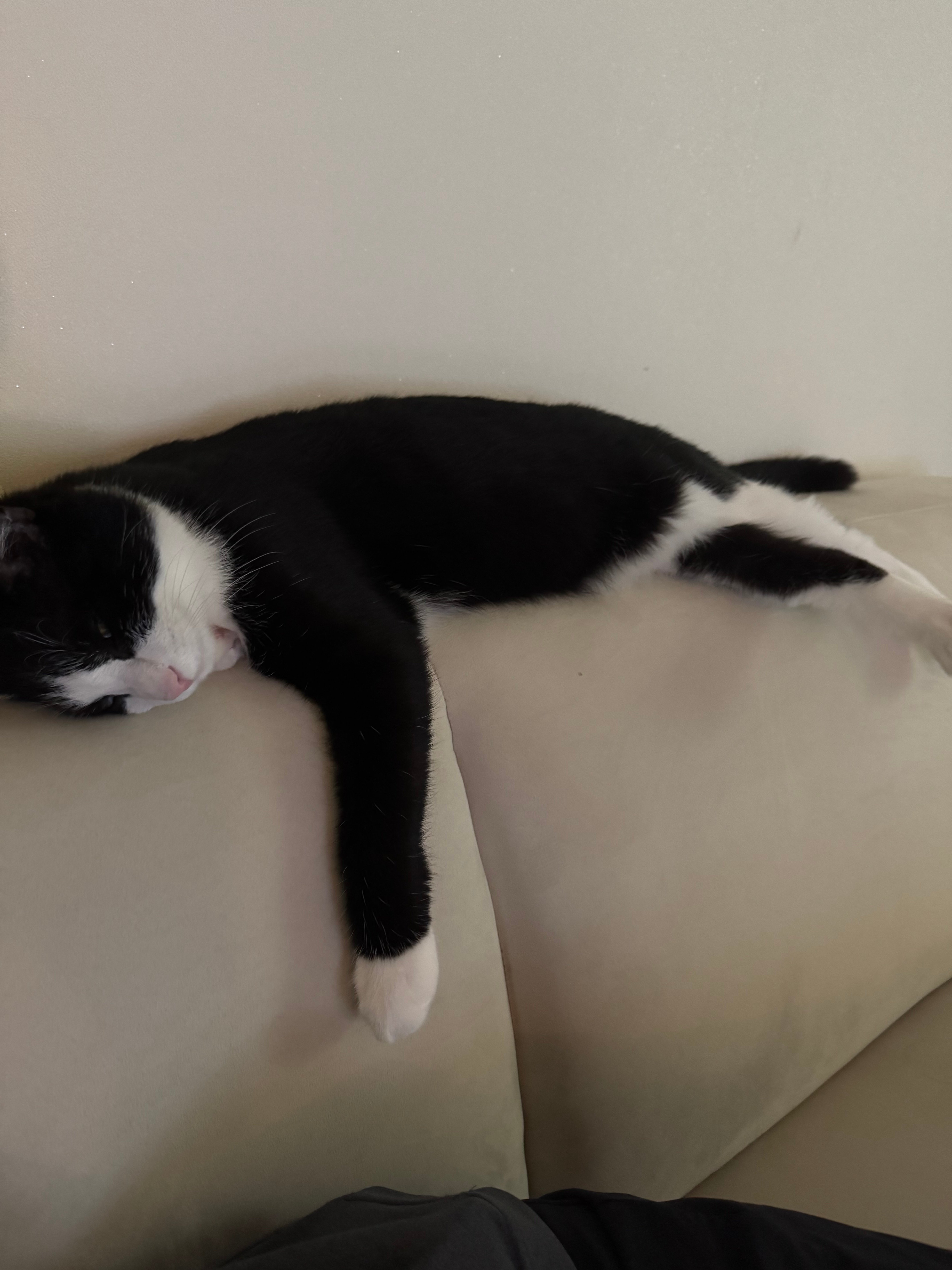 KakaoTalk_20260520_162915846_02.jpg