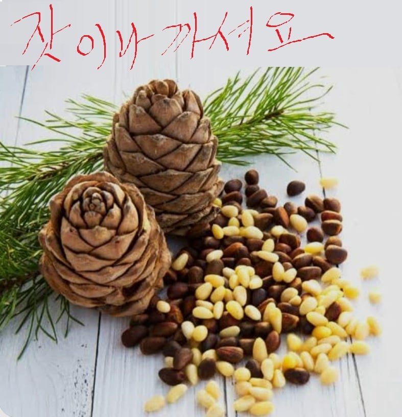 첨부 이미지