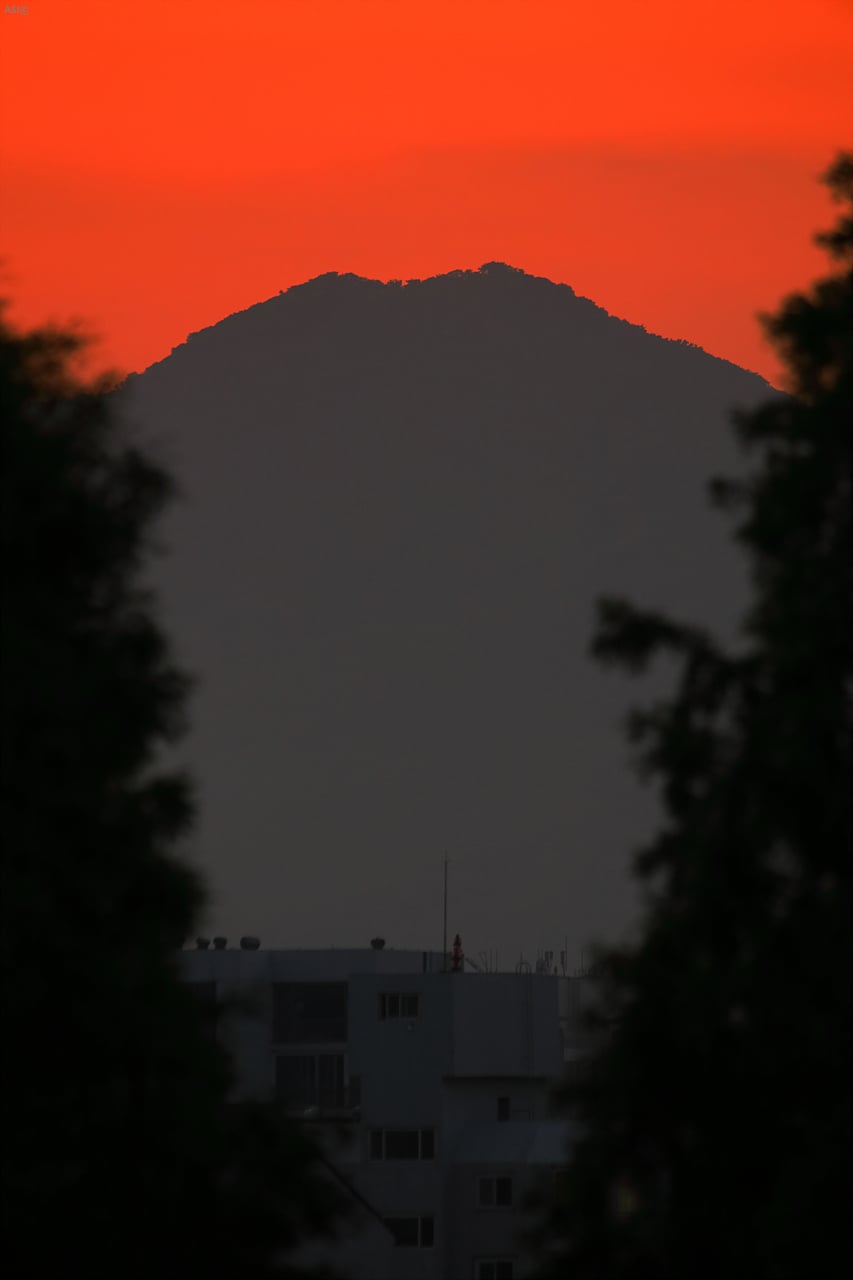 107L9463.jpg