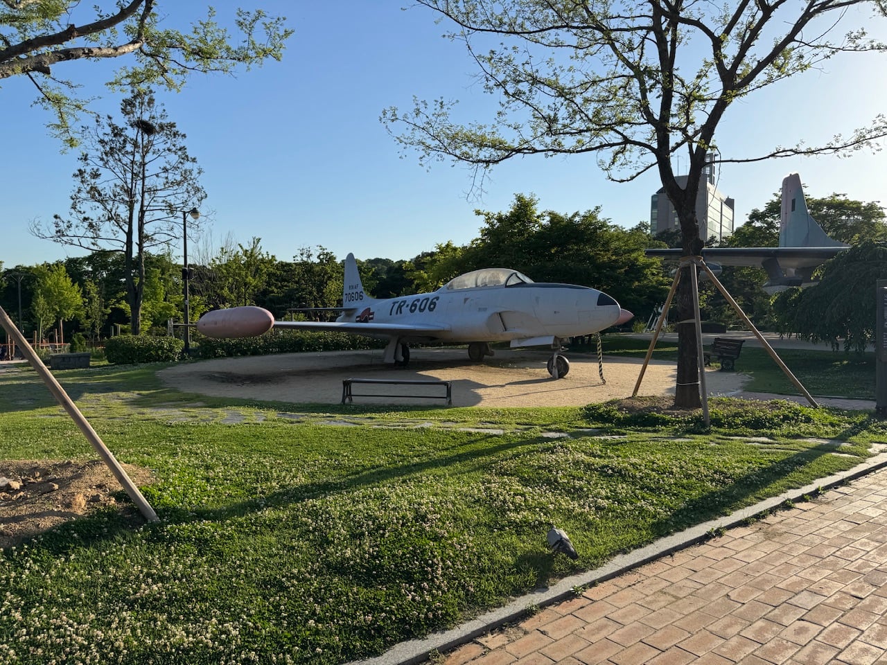 IMG_7399.jpeg
